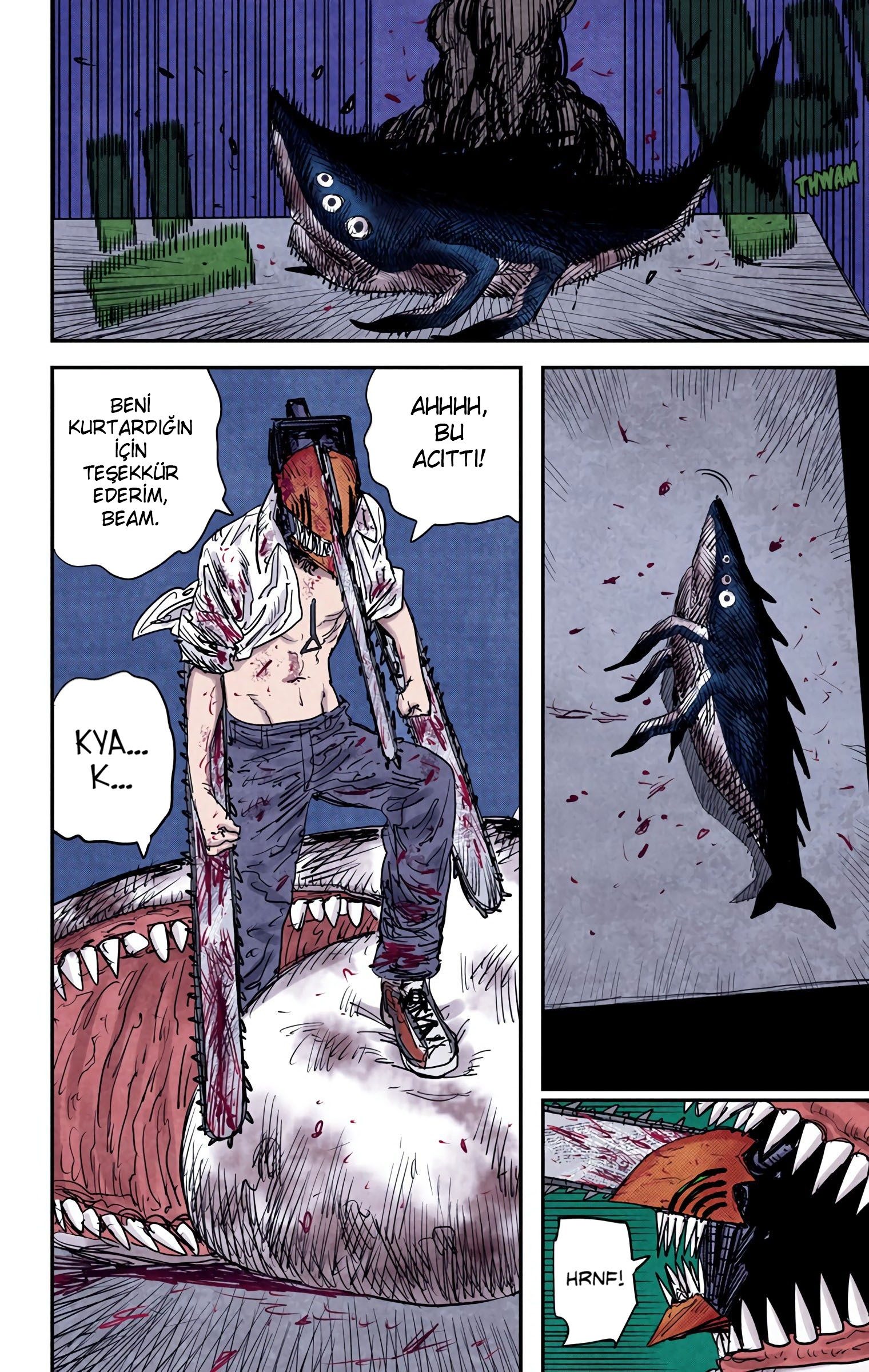 Read Chainsaw Man TR Manga Online