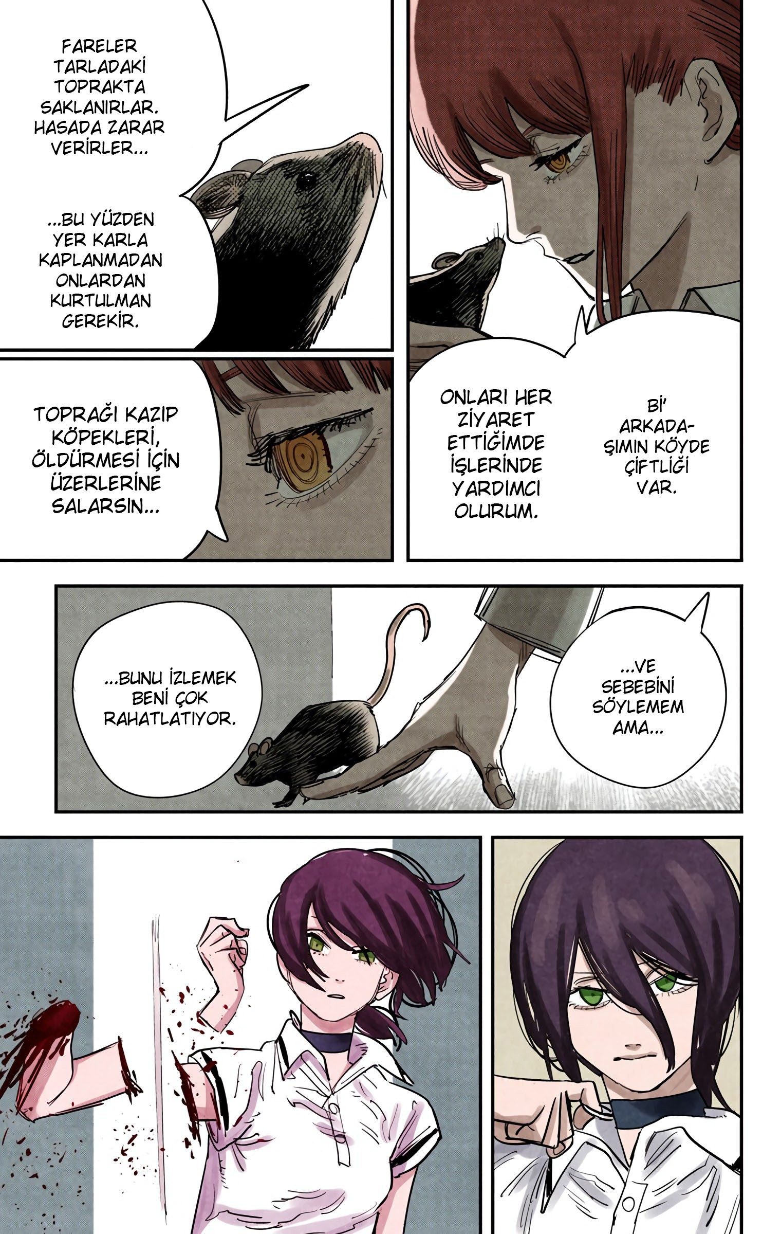 Read Chainsaw Man TR Manga Online