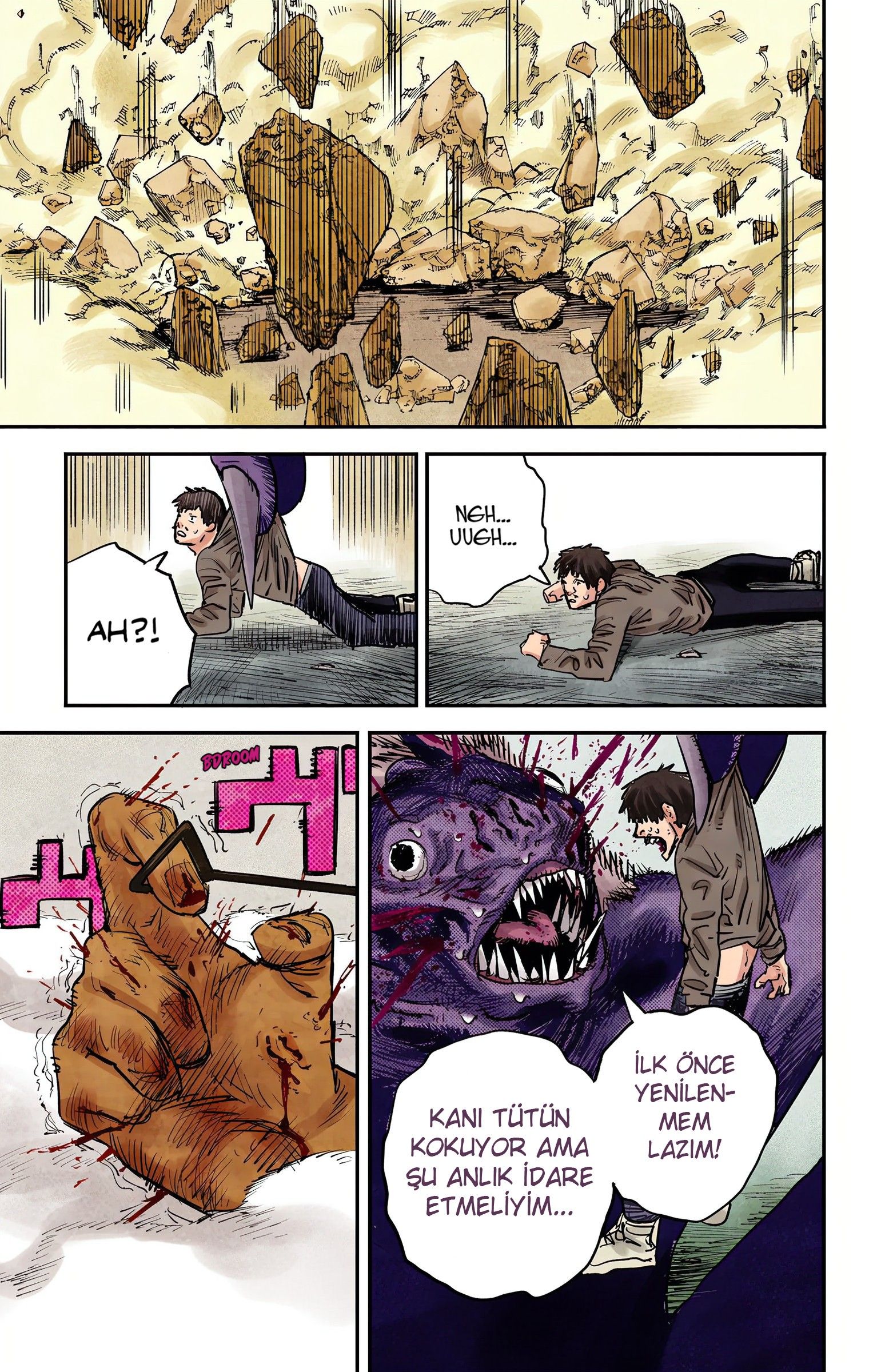 Read Chainsaw Man TR Manga Online