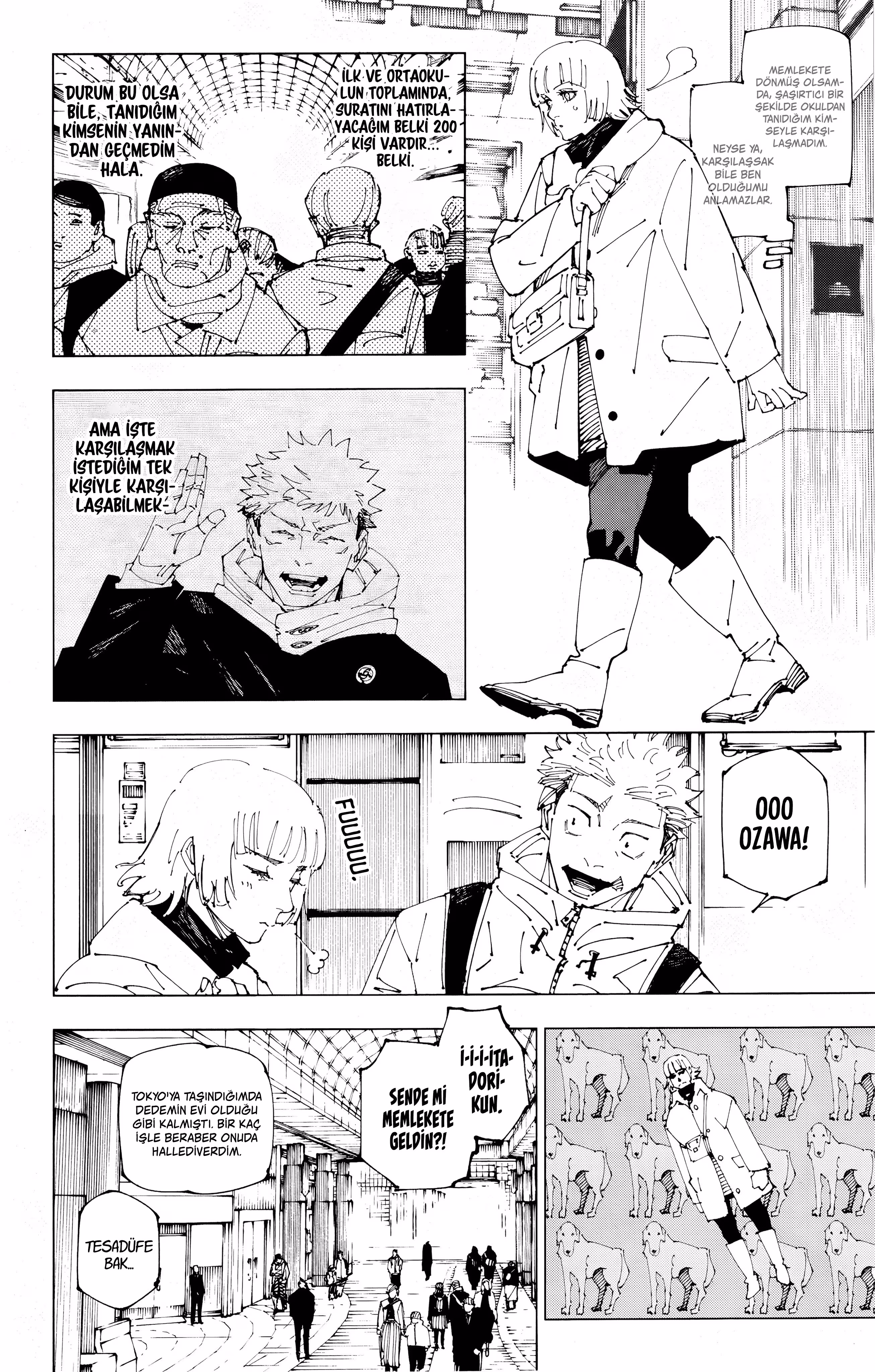 Read Jujutsu Kaisen TR Manga Online