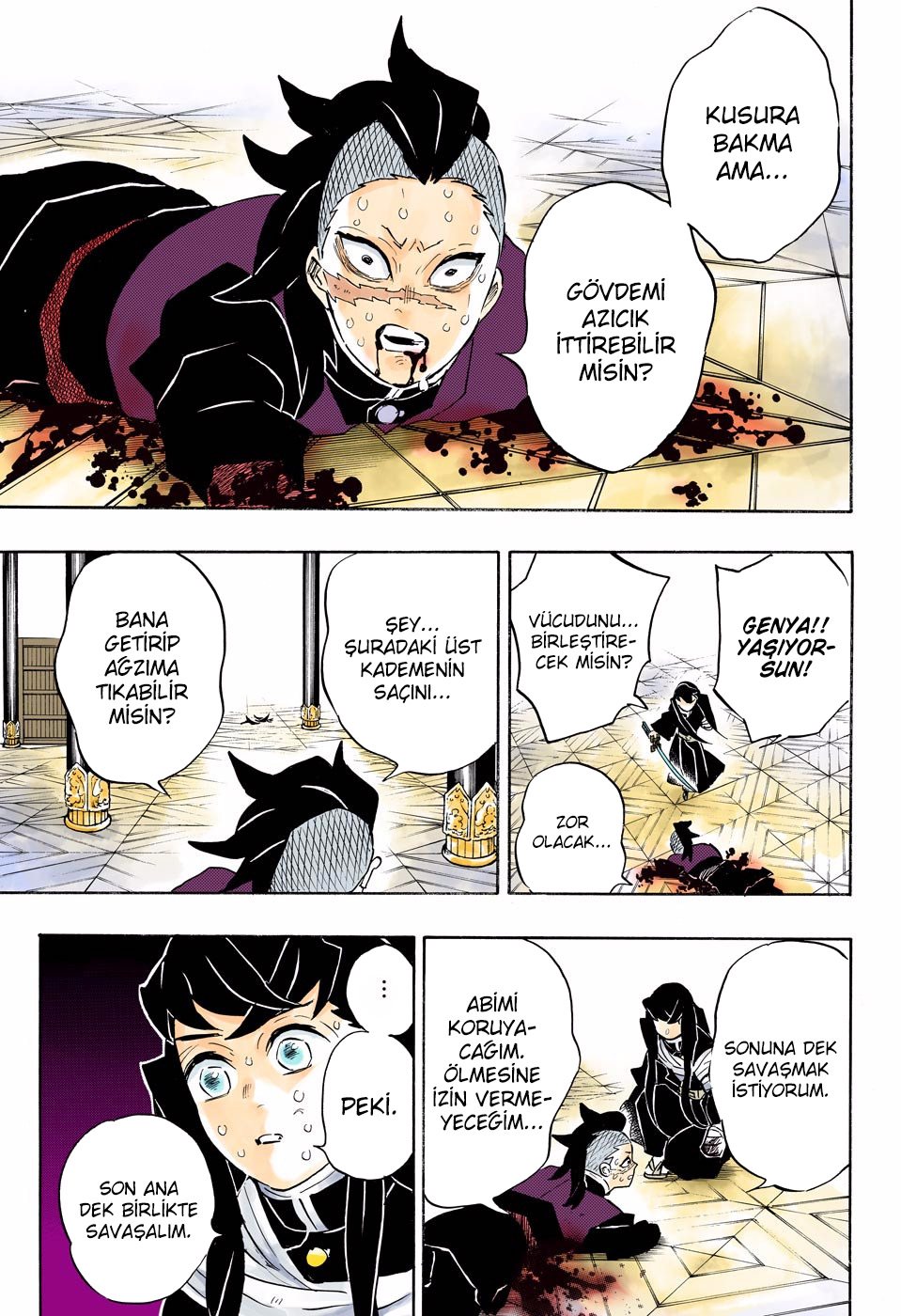Read Kimetsu no Yaiba Tr Manga Online