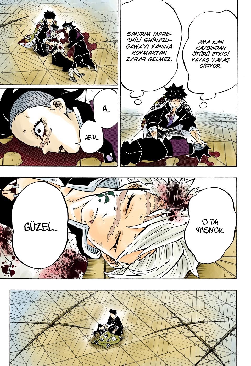 Read Kimetsu no Yaiba Tr Manga Online