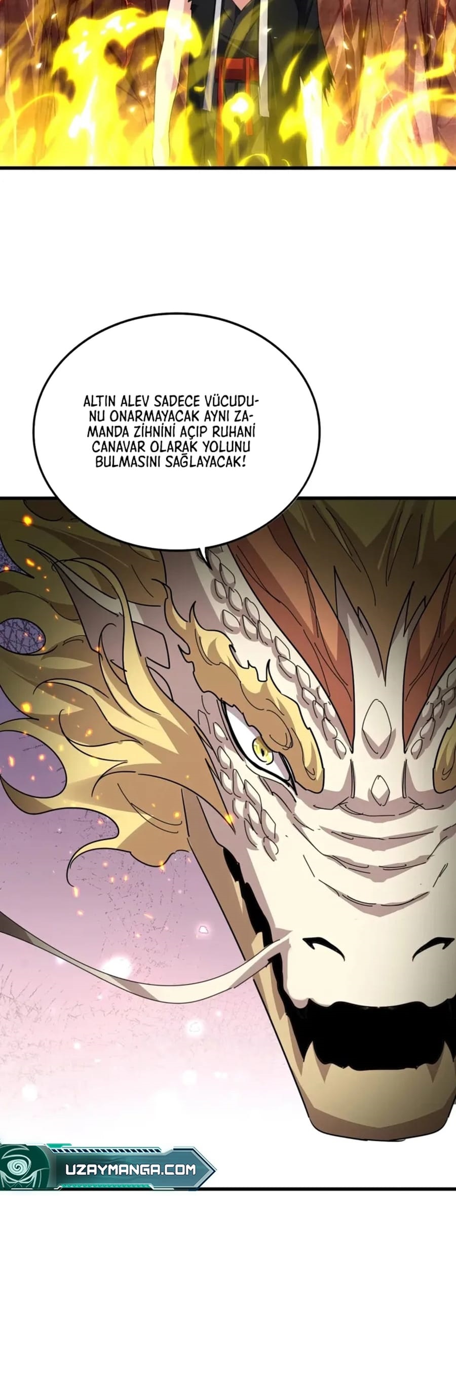 Read Magic Emperor TR Manga Online
