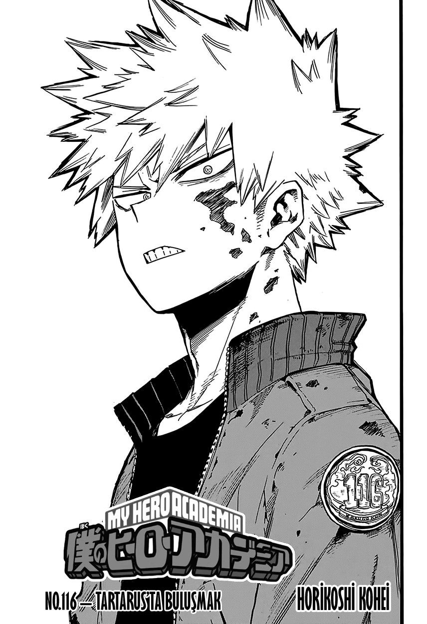 Read My Hero Academia TR Manga Online