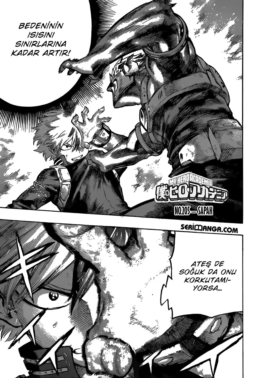 Read My Hero Academia TR Manga Online