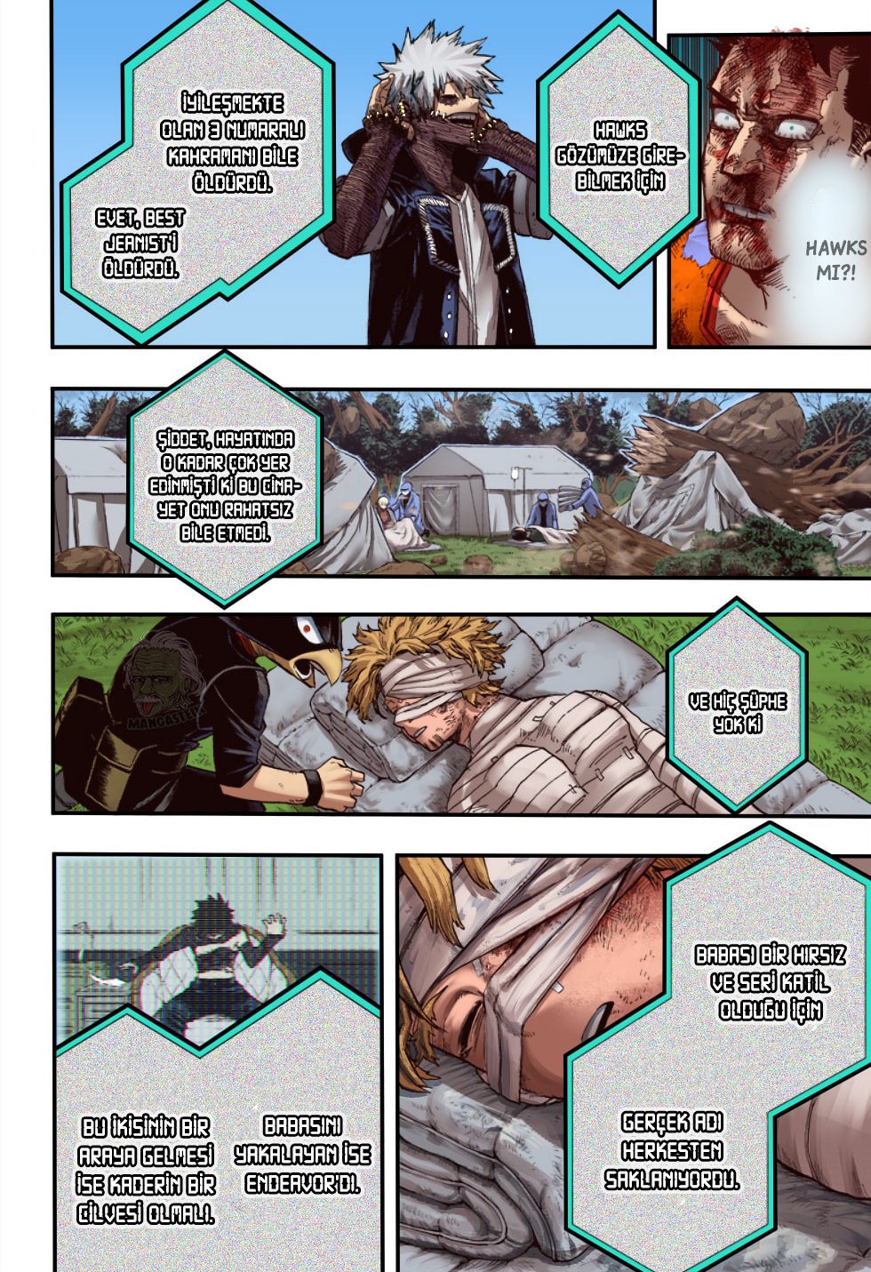 Read My Hero Academia TR Manga Online