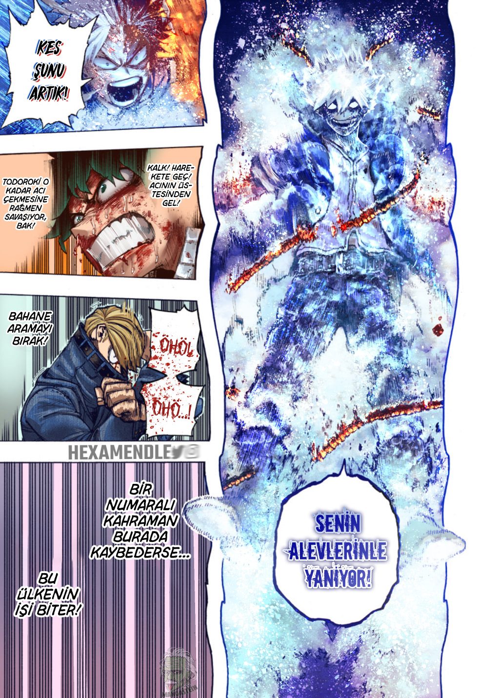 Read My Hero Academia TR Manga Online