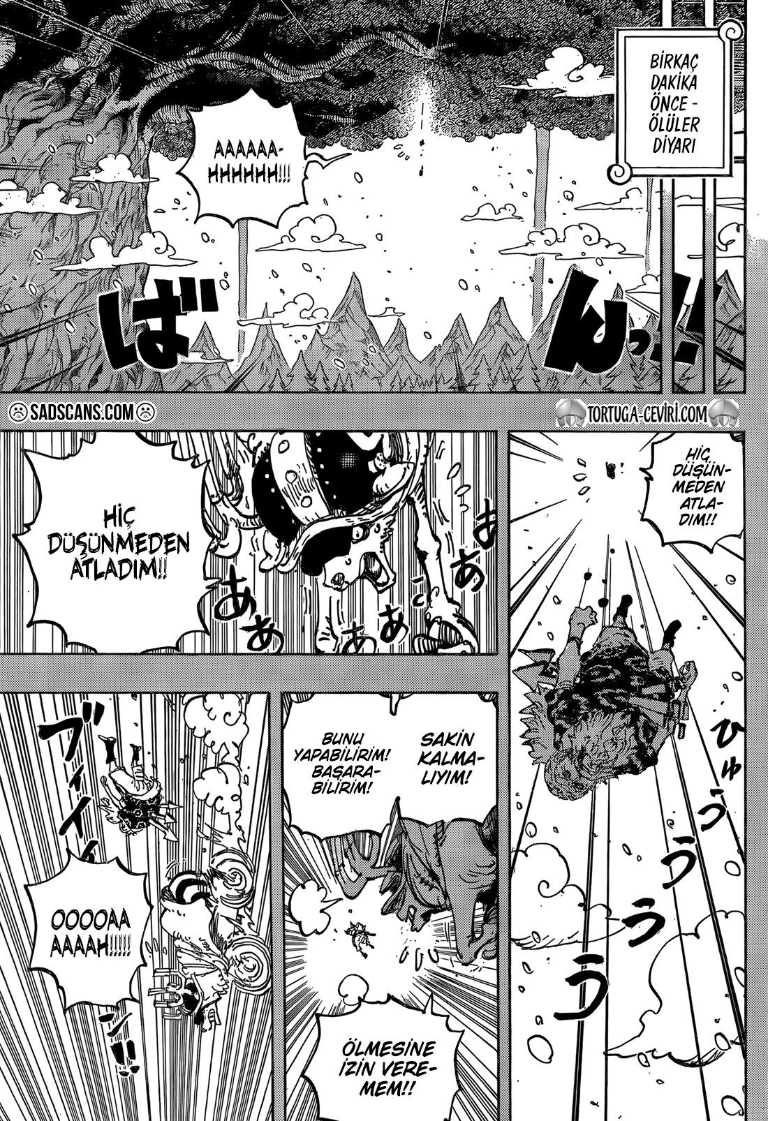 Read One Piece TR Manga Online