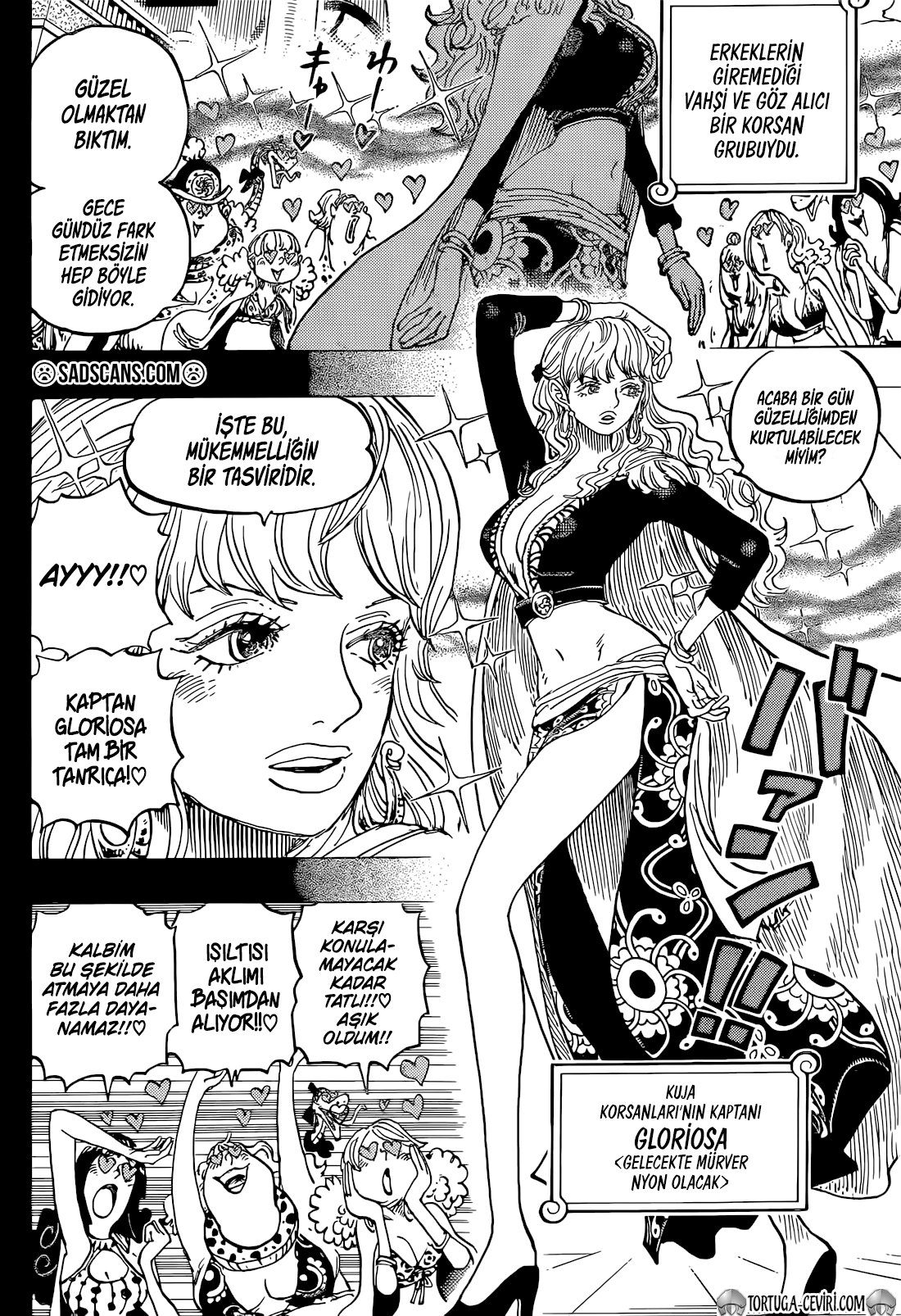 Read One Piece TR Manga Online