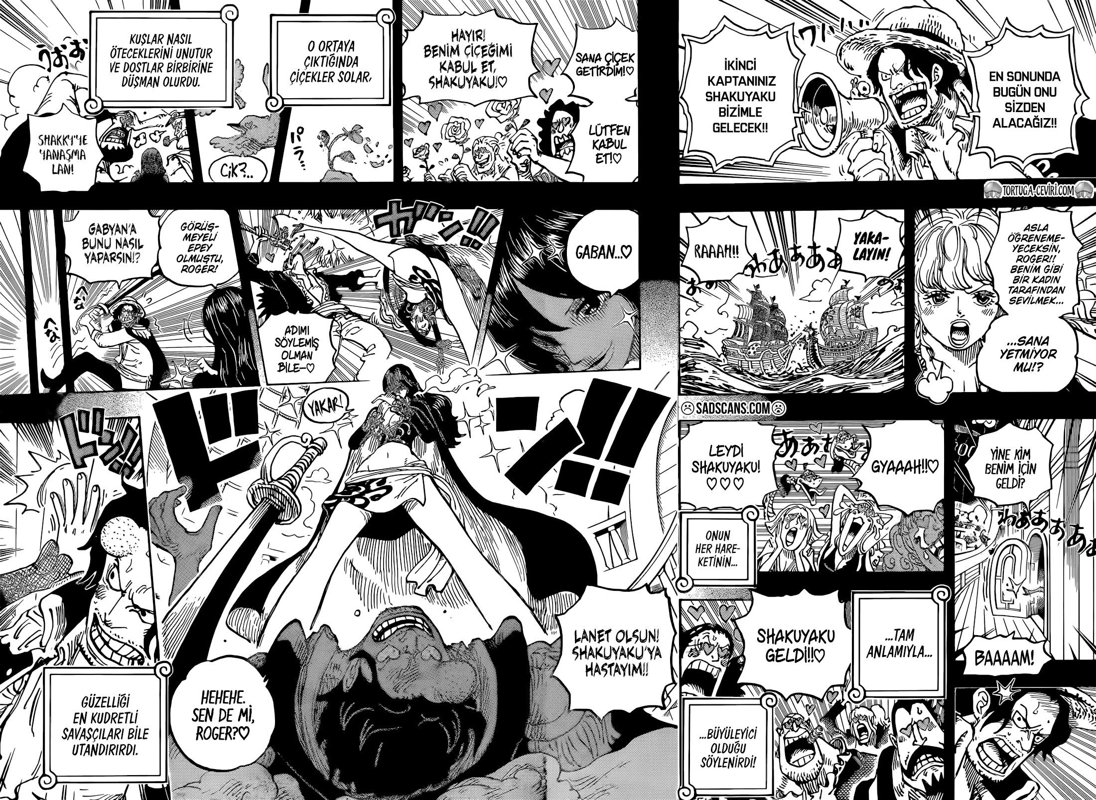Read One Piece TR Manga Online