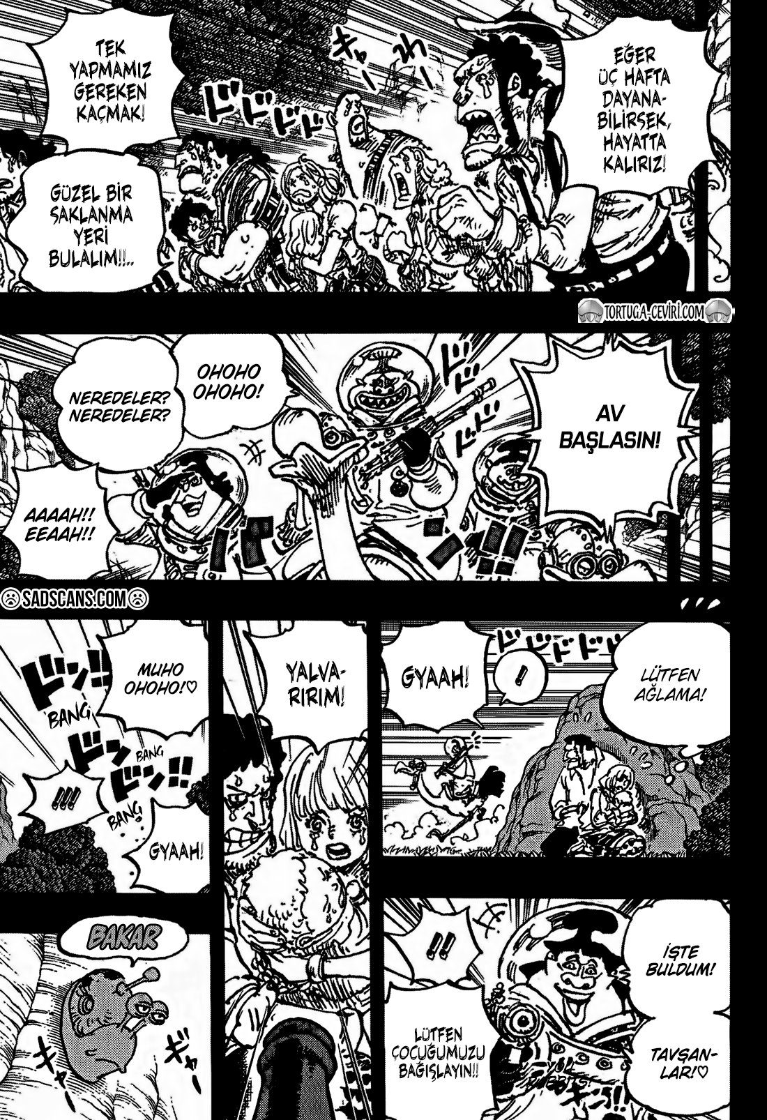 Read One Piece TR Manga Online