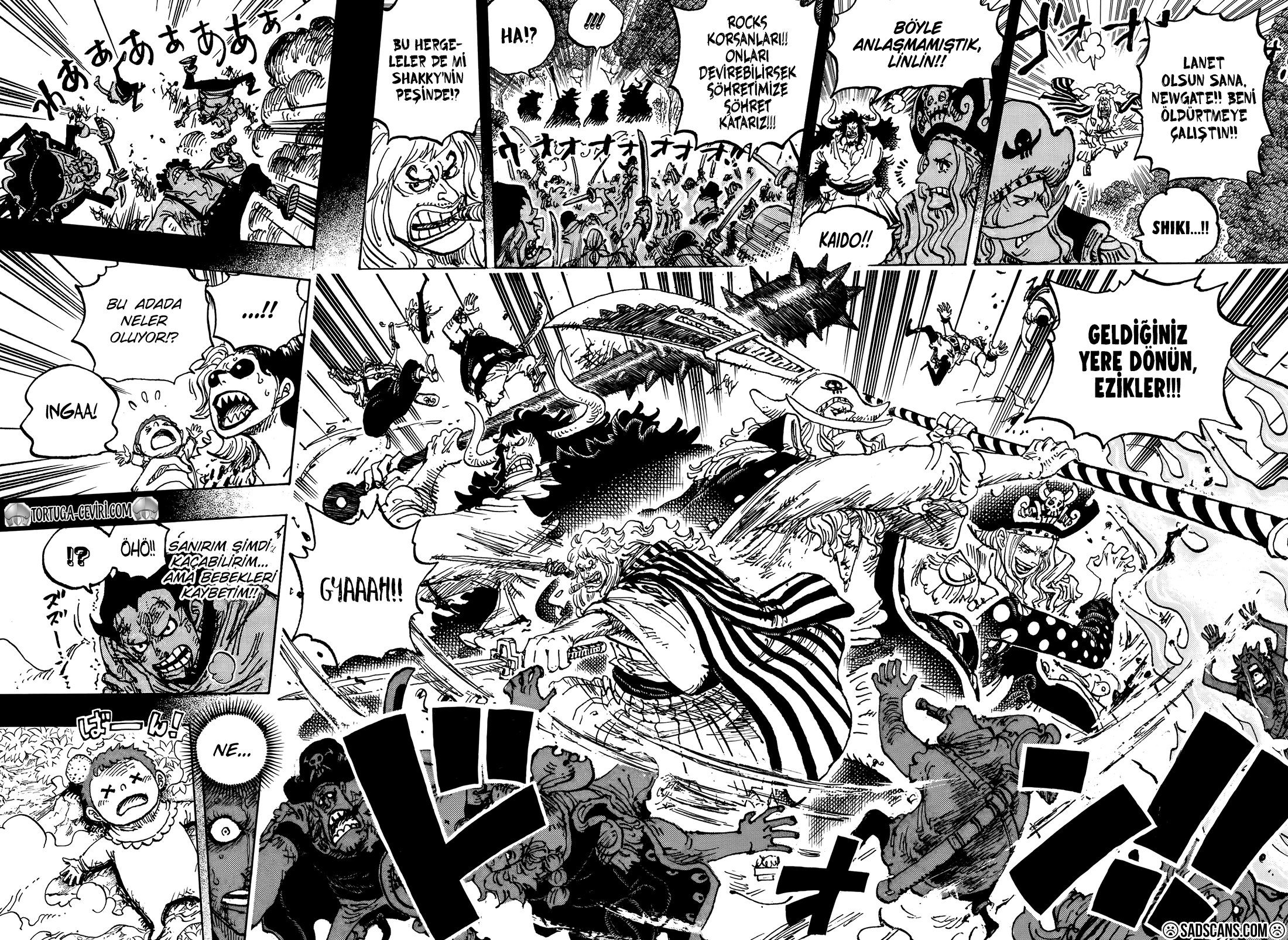 Read One Piece TR Manga Online
