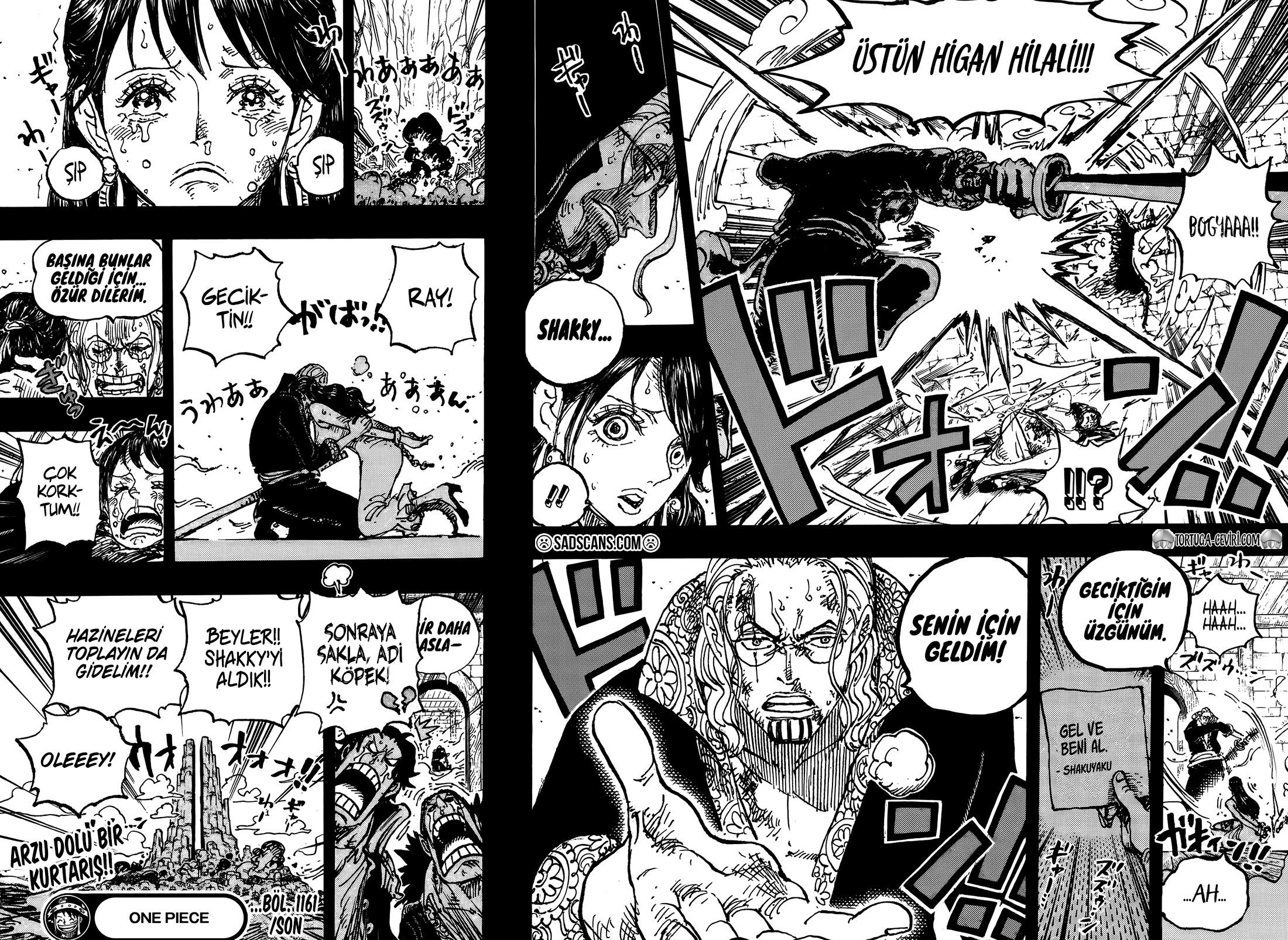 Read One Piece TR Manga Online