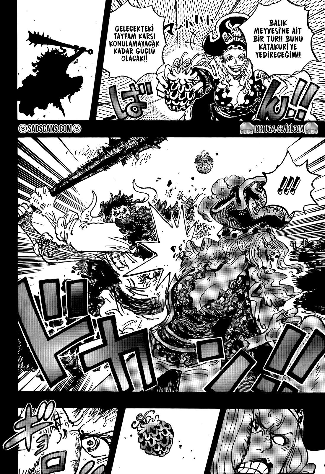 Read One Piece TR Manga Online