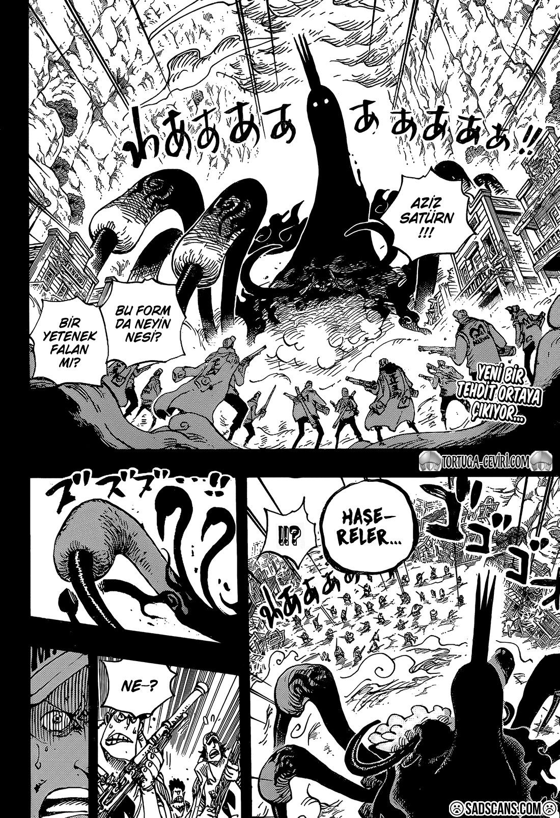 Read One Piece TR Manga Online