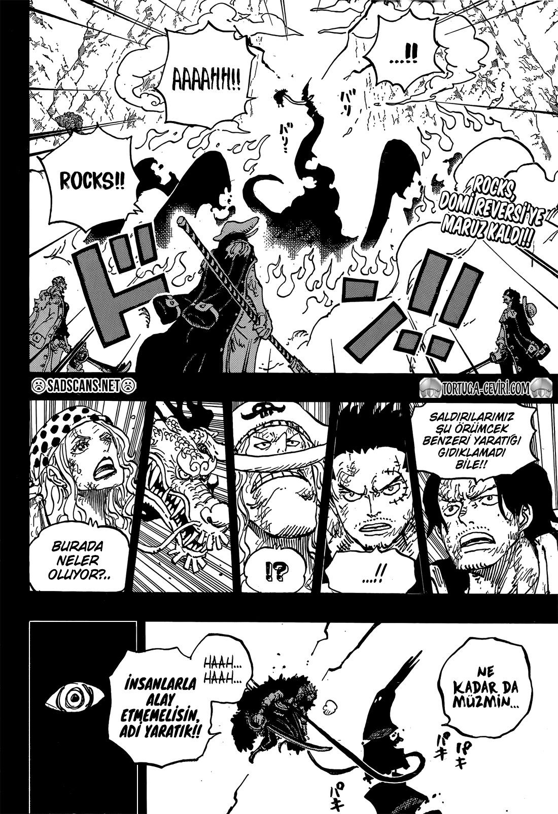 Read One Piece TR Manga Online