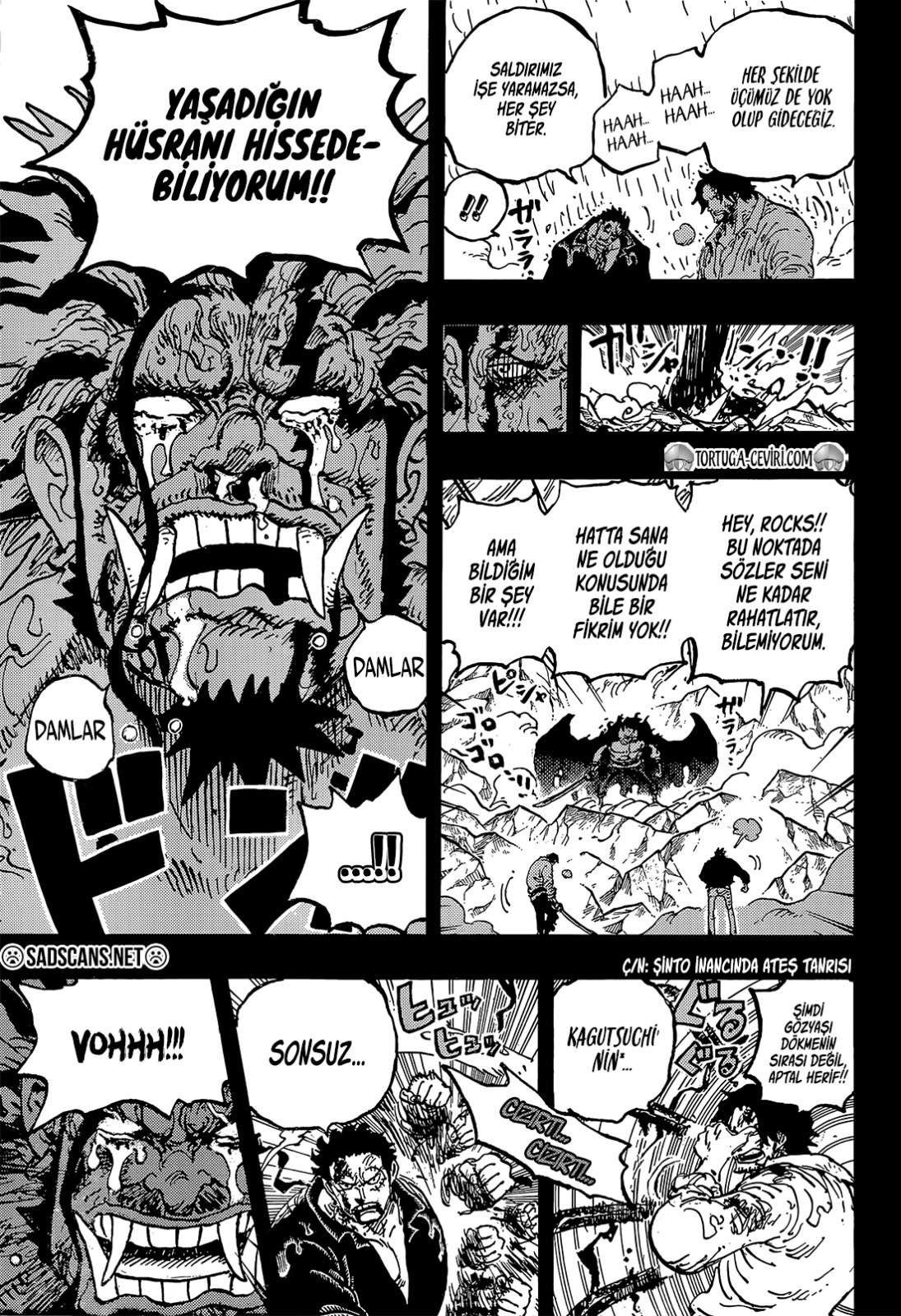 Read One Piece TR Manga Online