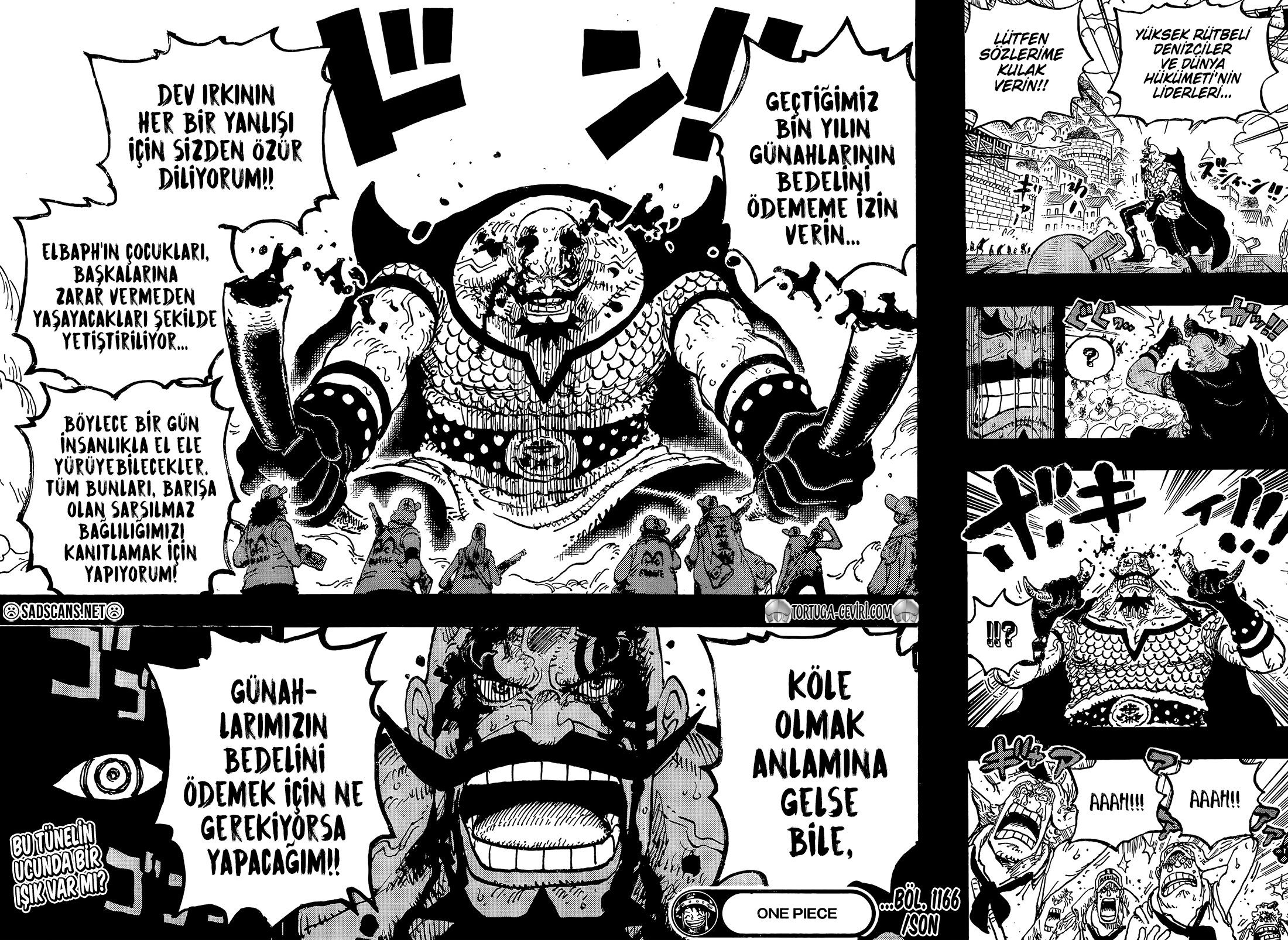 Read One Piece TR Manga Online