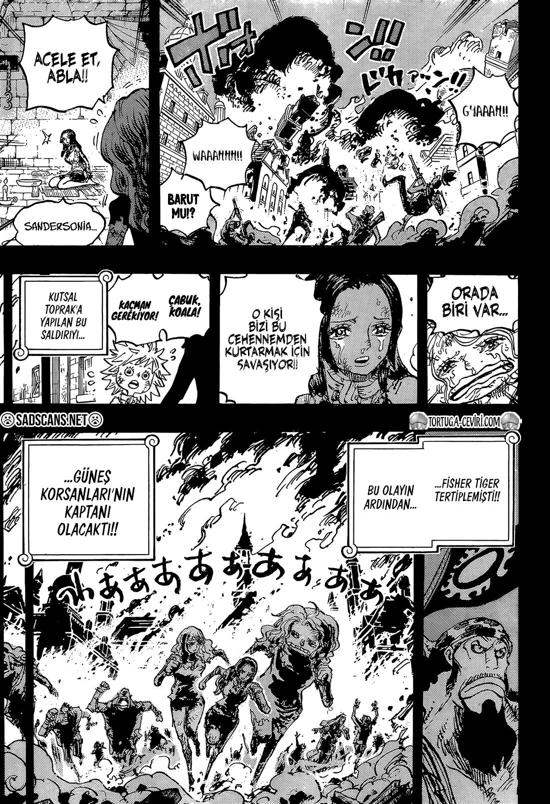 Read One Piece TR Manga Online