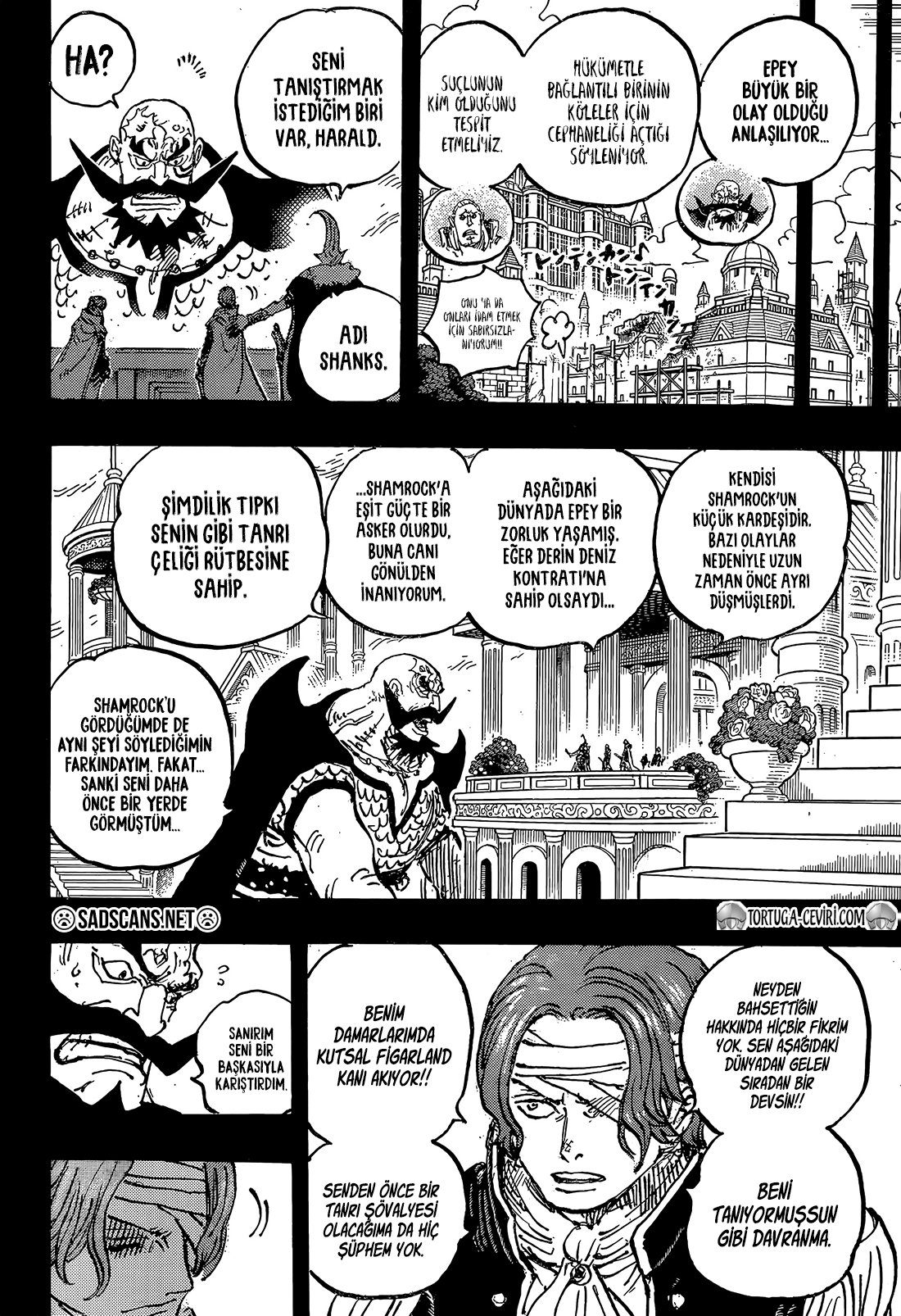 Read One Piece TR Manga Online