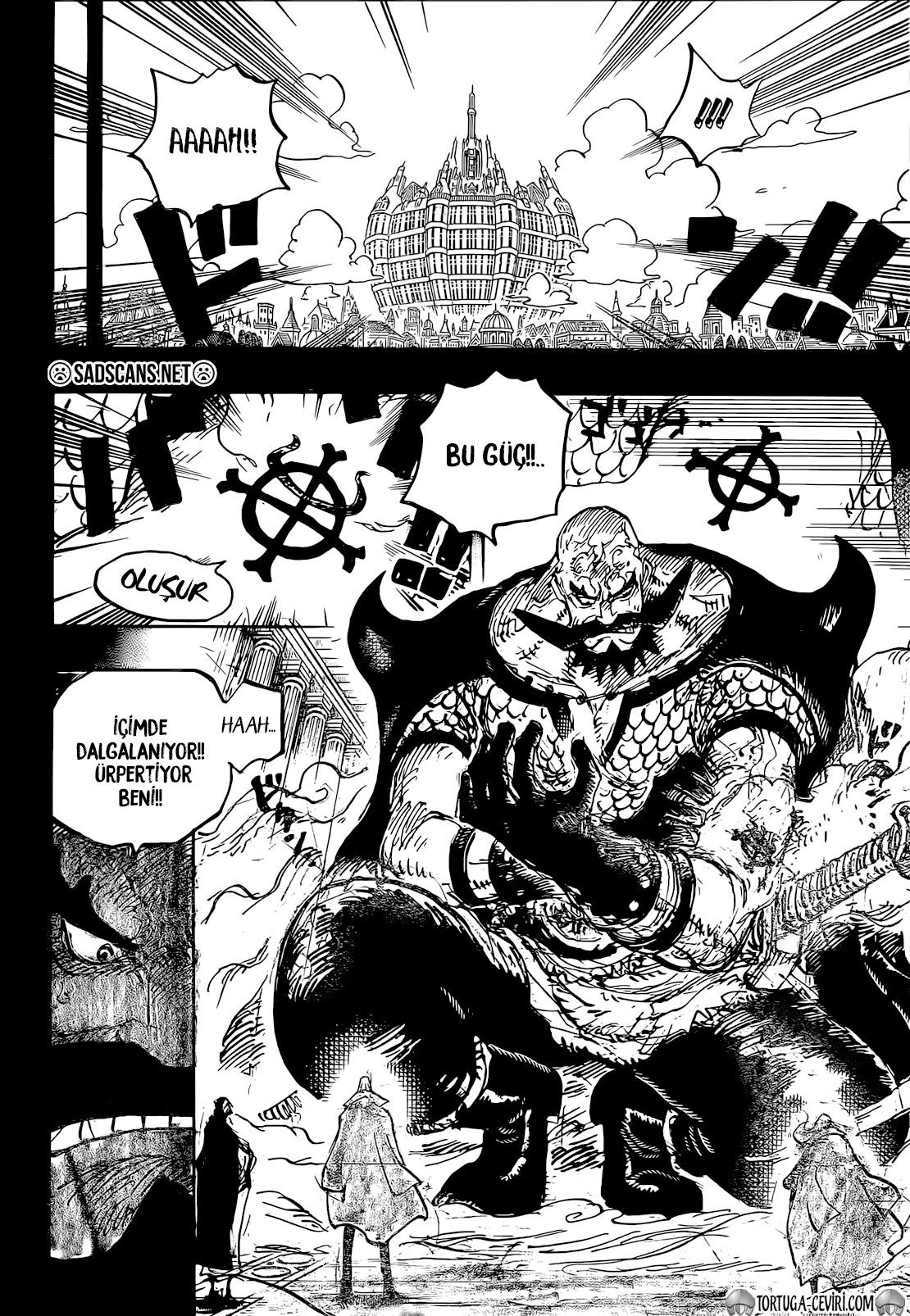 Read One Piece TR Manga Online