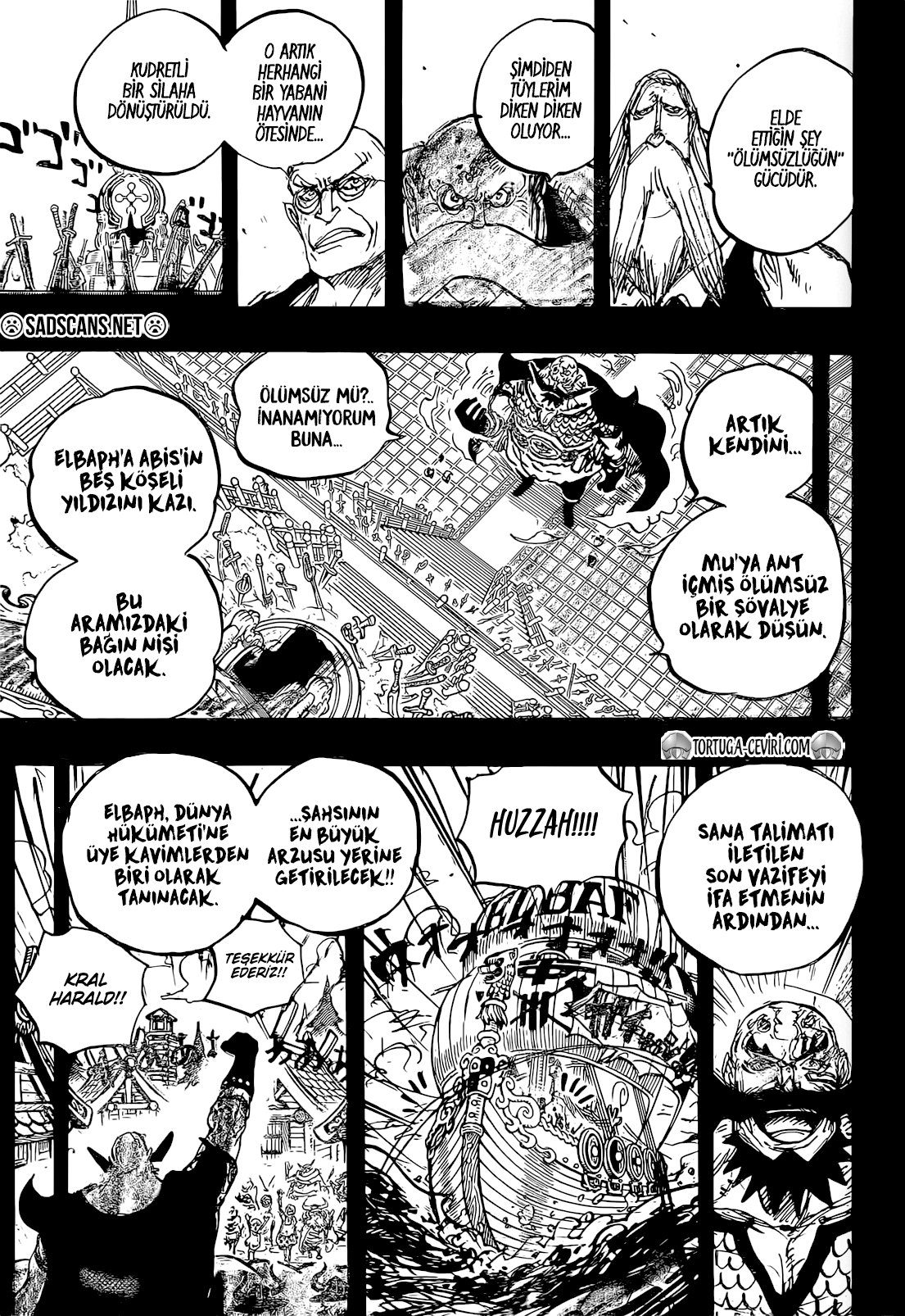 Read One Piece TR Manga Online