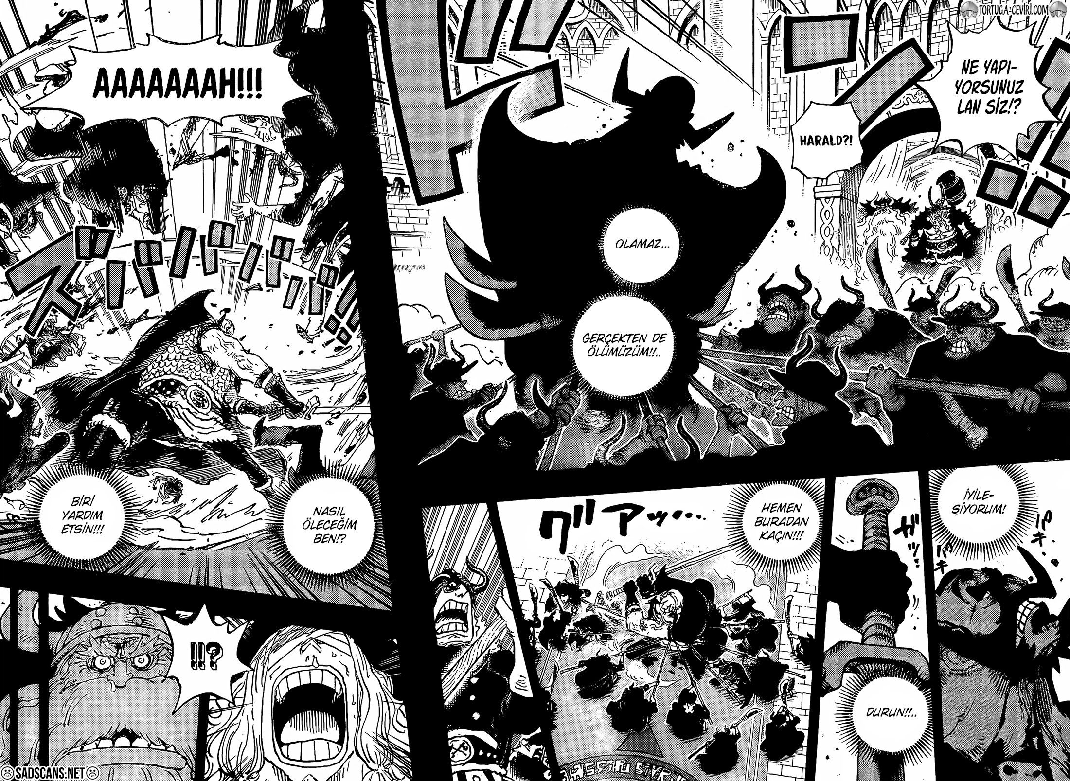 Read One Piece TR Manga Online