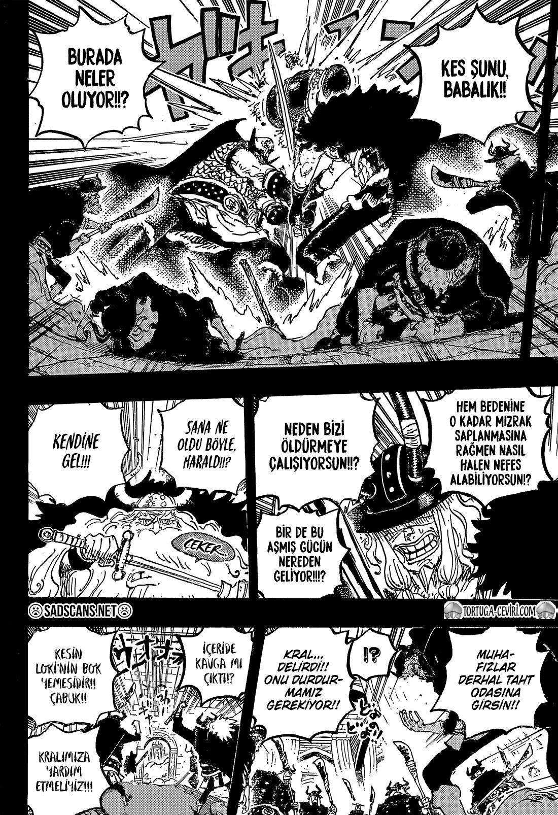 Read One Piece TR Manga Online