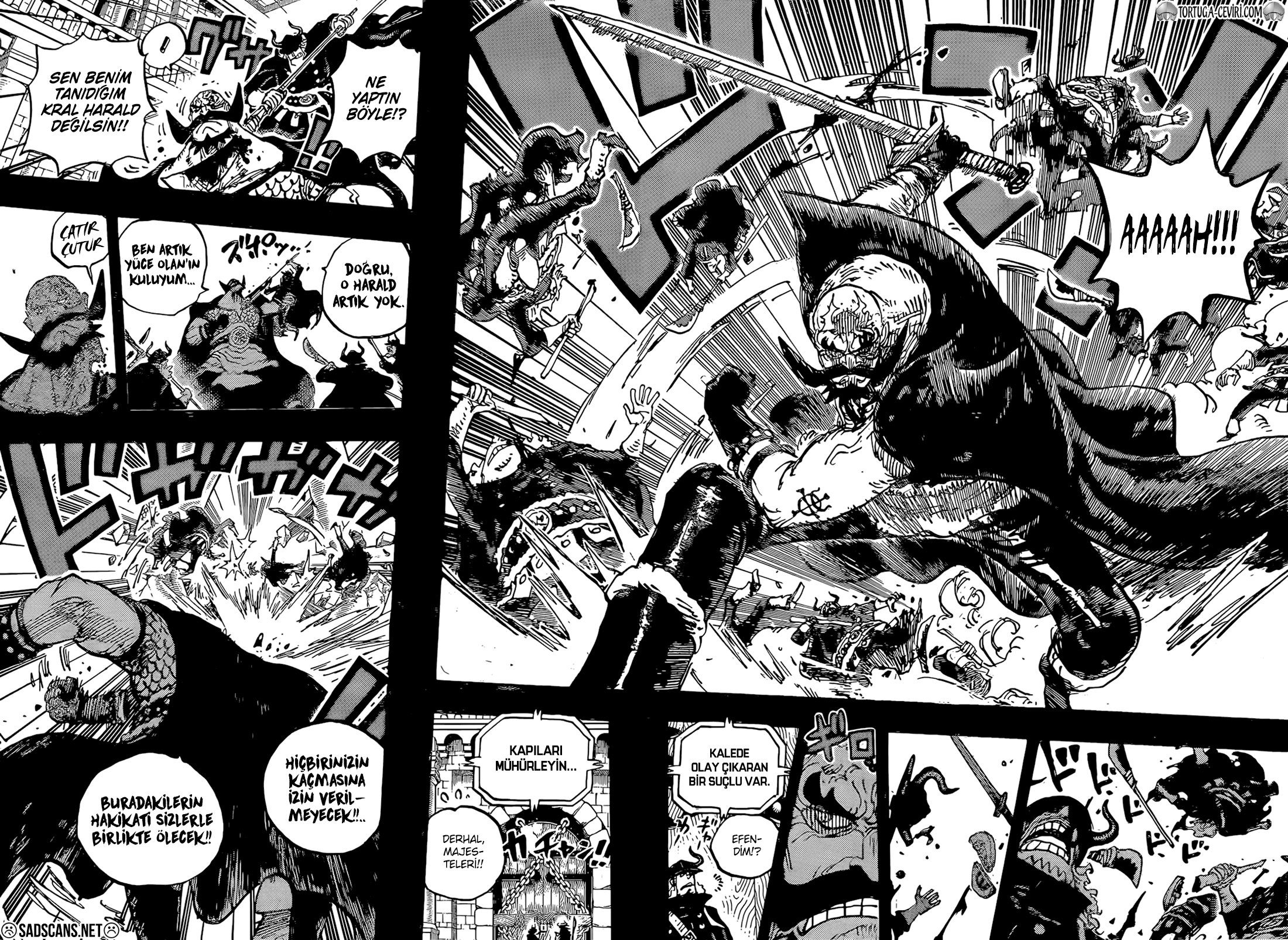 Read One Piece TR Manga Online