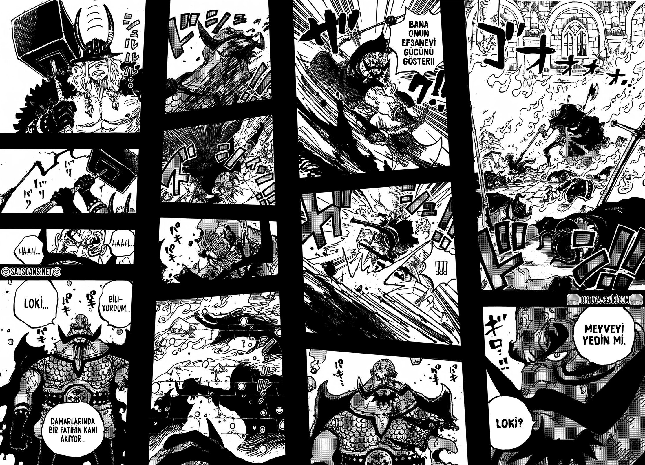 Read One Piece TR Manga Online