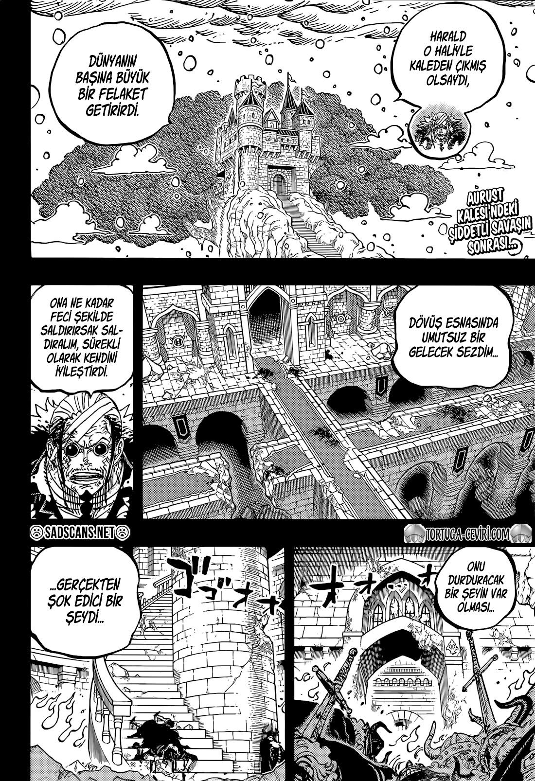 Read One Piece TR Manga Online