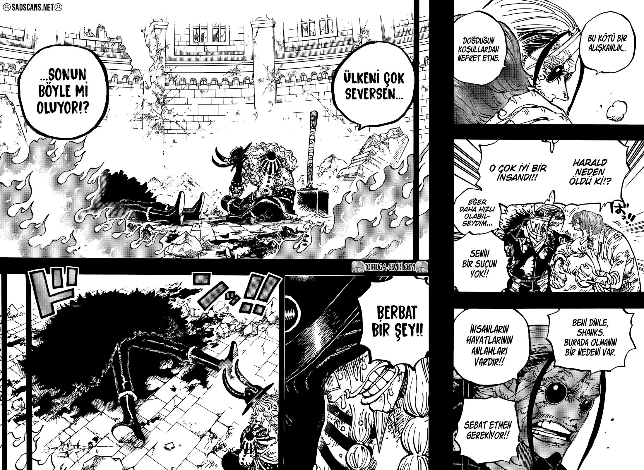 Read One Piece TR Manga Online
