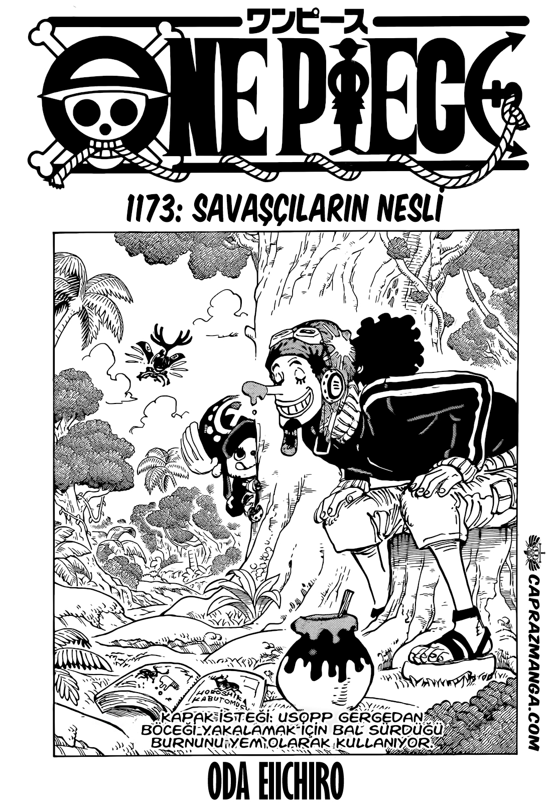 Read One Piece TR Manga Online