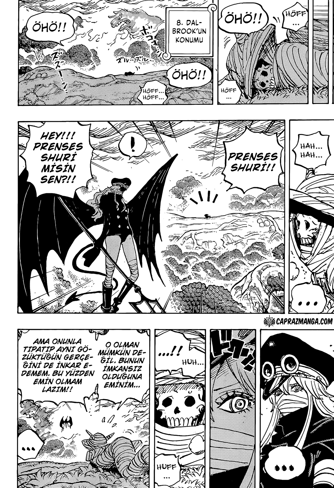 Read One Piece TR Manga Online
