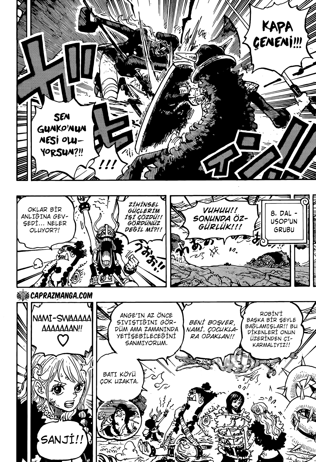 Read One Piece TR Manga Online