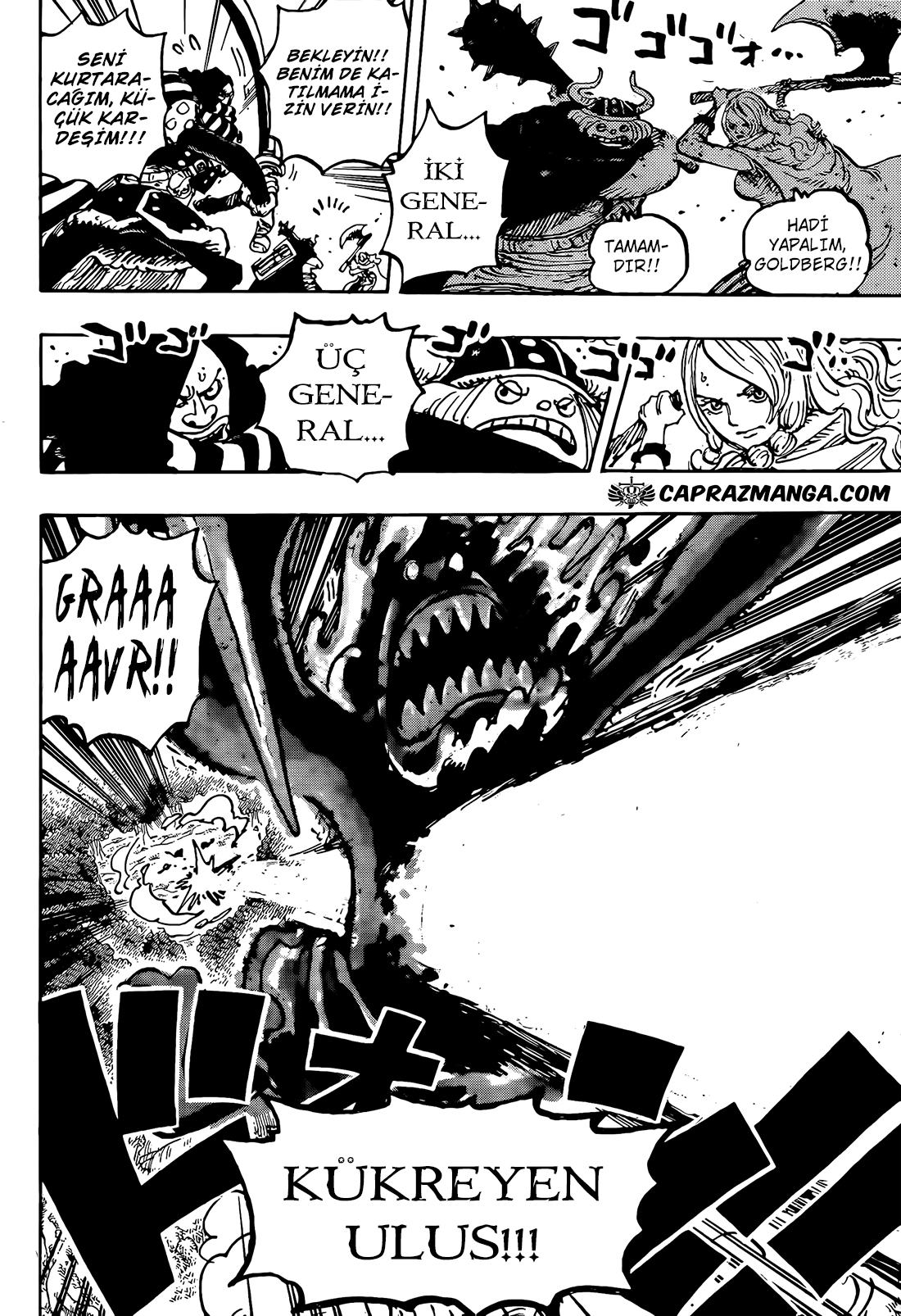 Read One Piece TR Manga Online