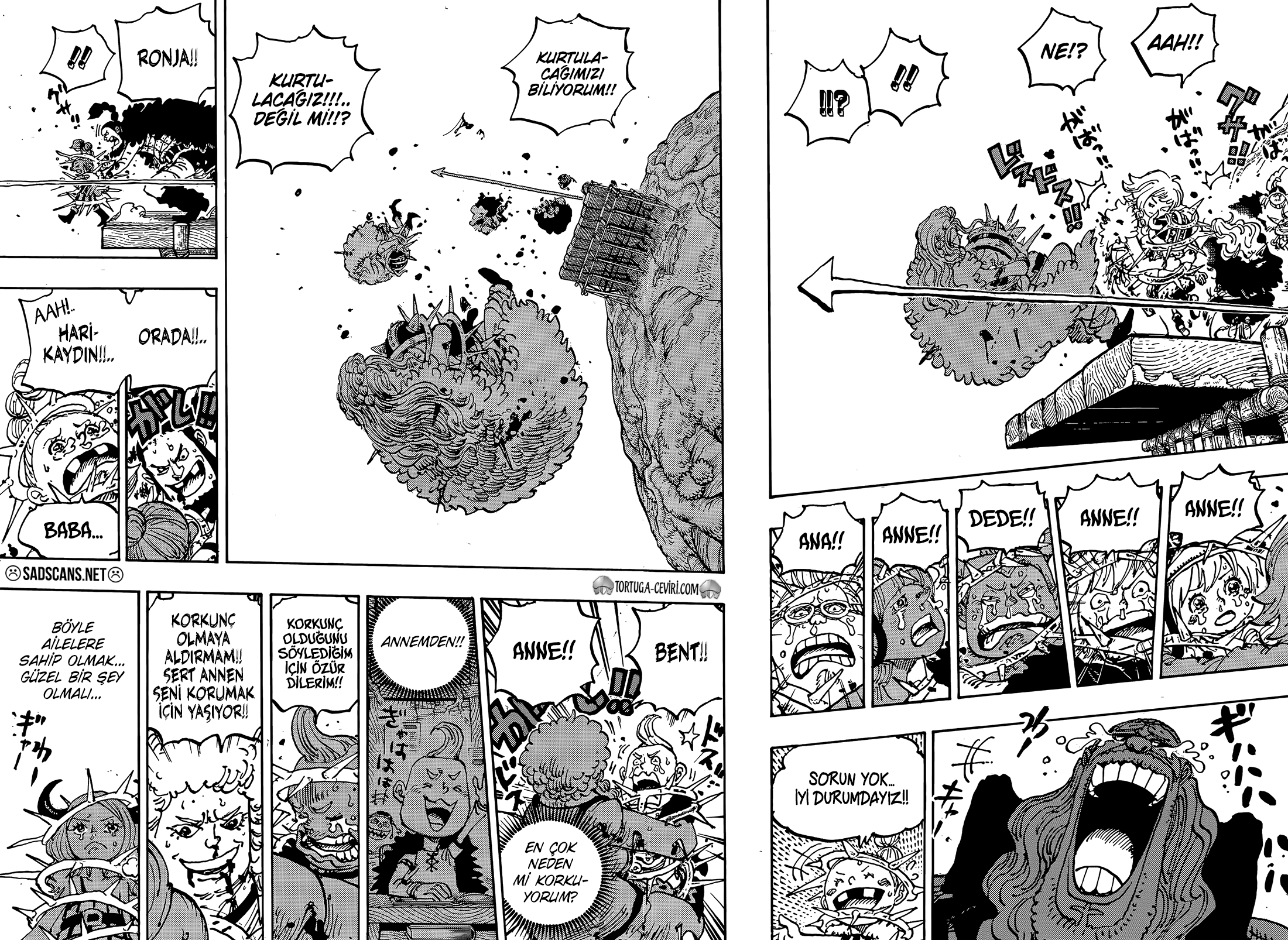 Read One Piece TR Manga Online