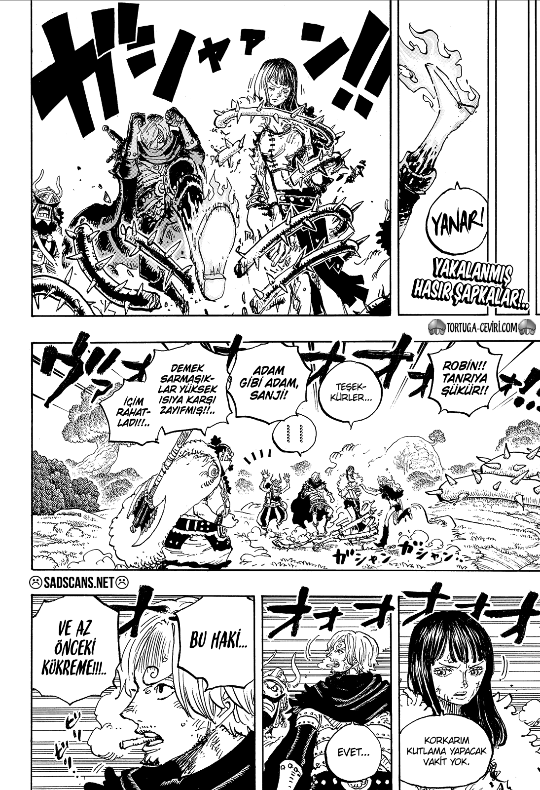 Read One Piece TR Manga Online