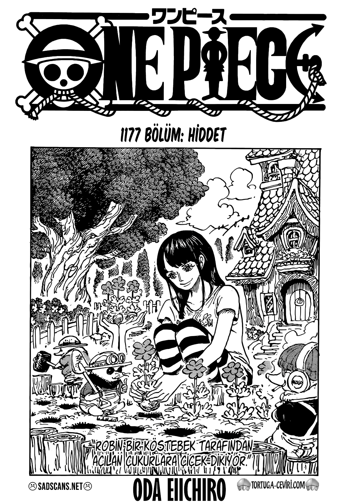 Read One Piece TR Manga Online