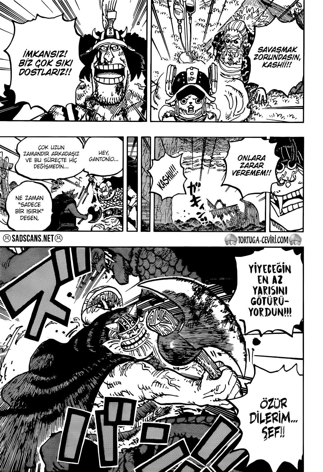 Read One Piece TR Manga Online