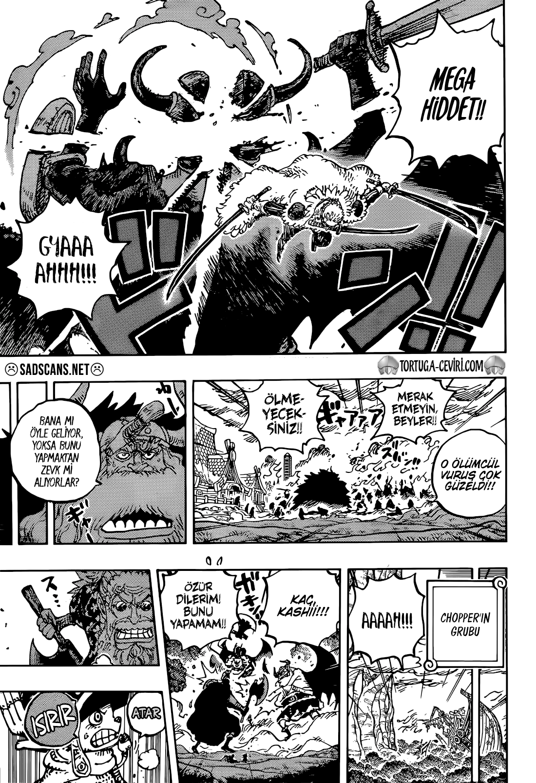 Read One Piece TR Manga Online