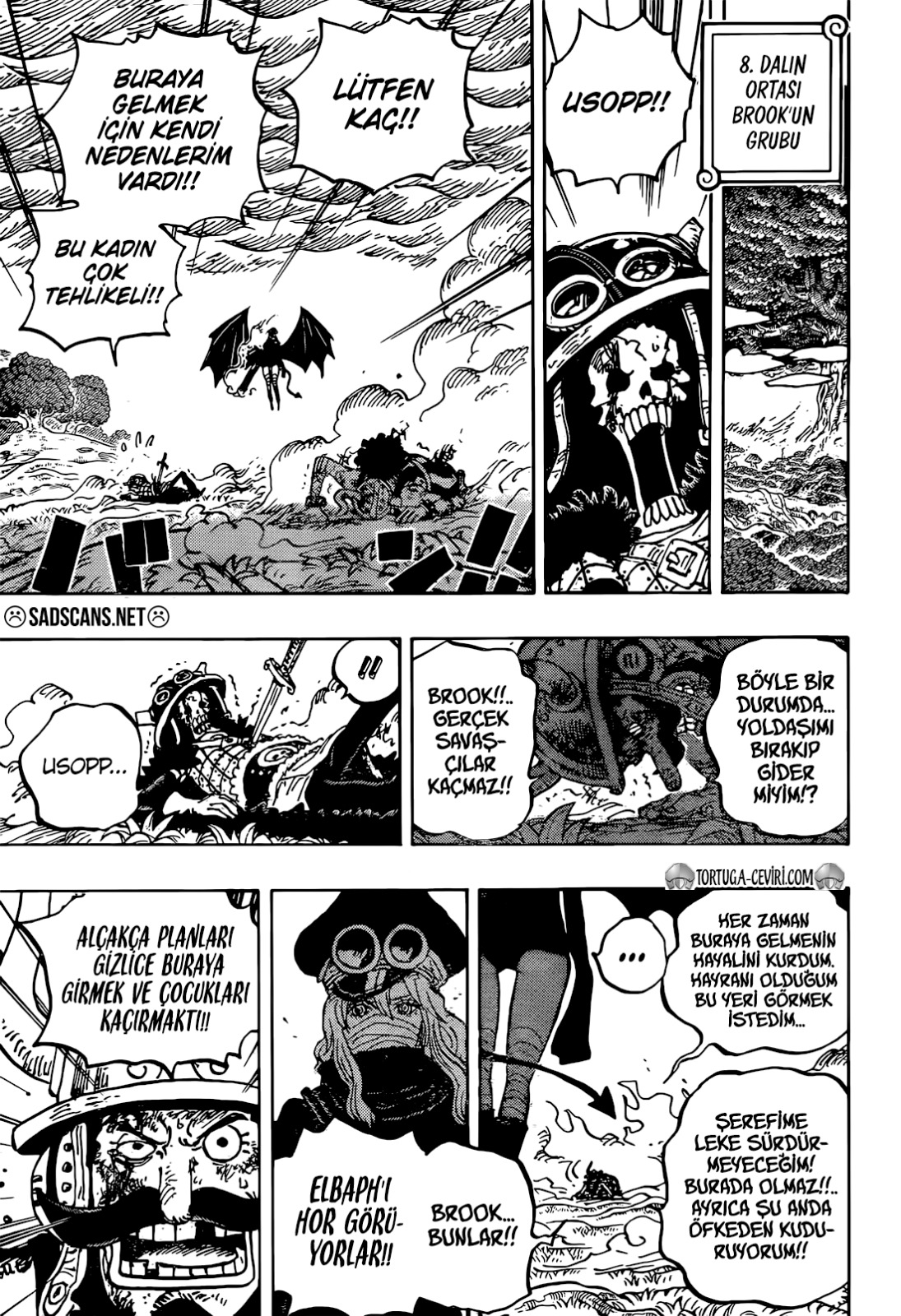 Read One Piece TR Manga Online