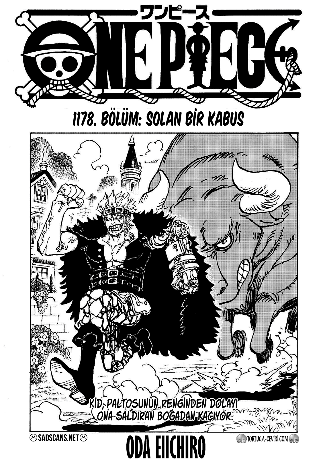 Read One Piece TR Manga Online