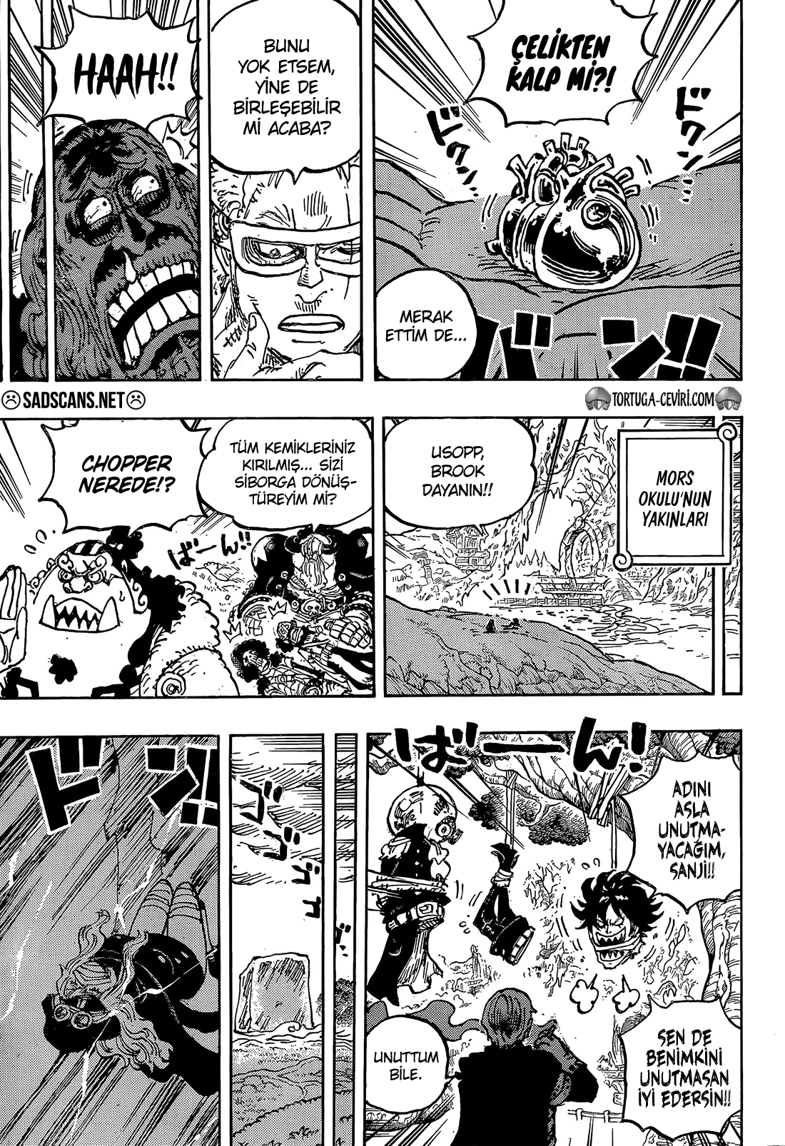 Read One Piece TR Manga Online