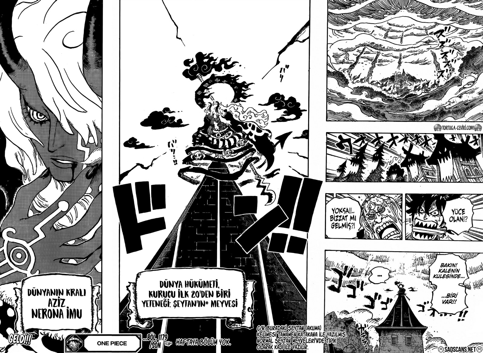 Read One Piece TR Manga Online