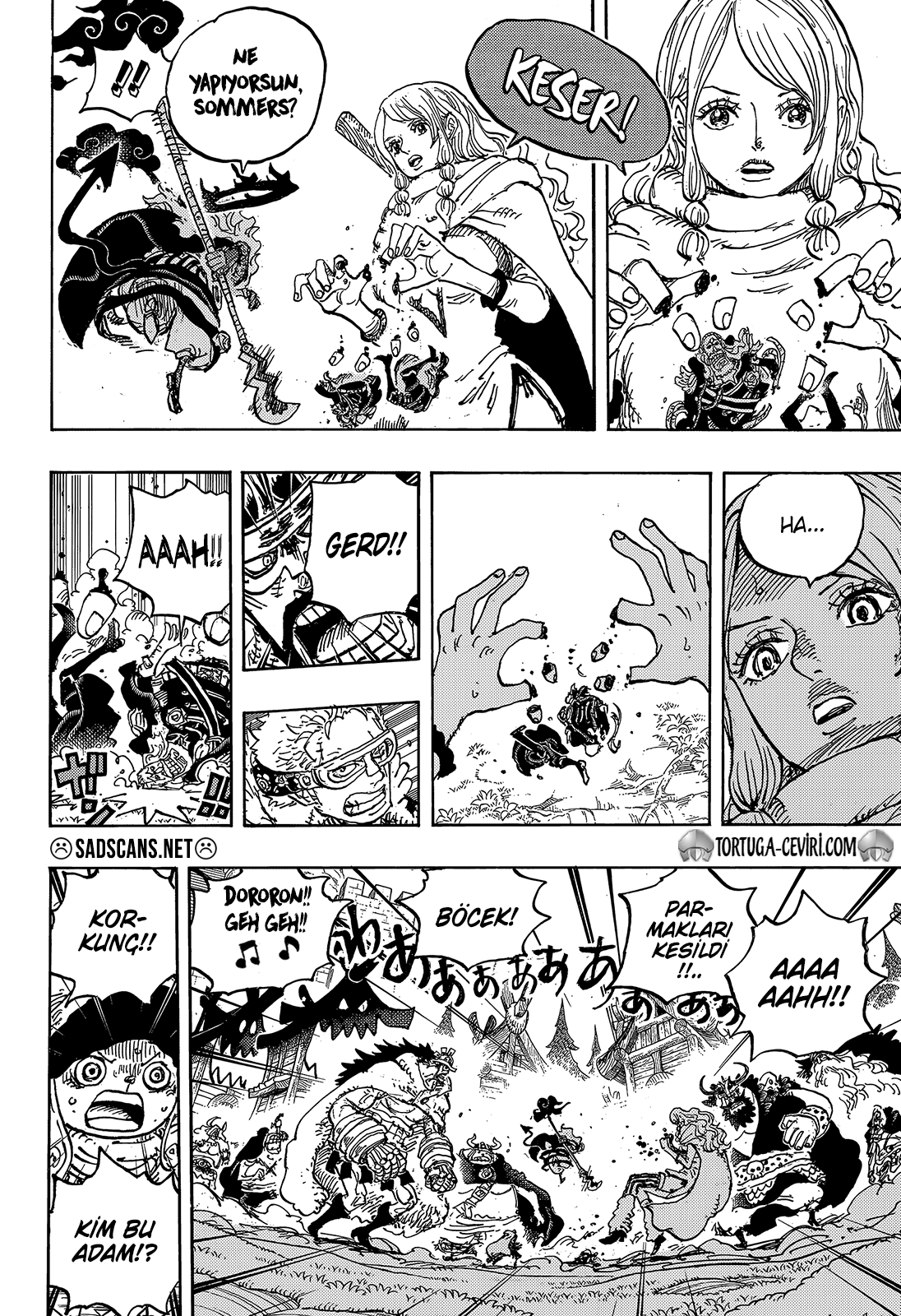 Read One Piece TR Manga Online