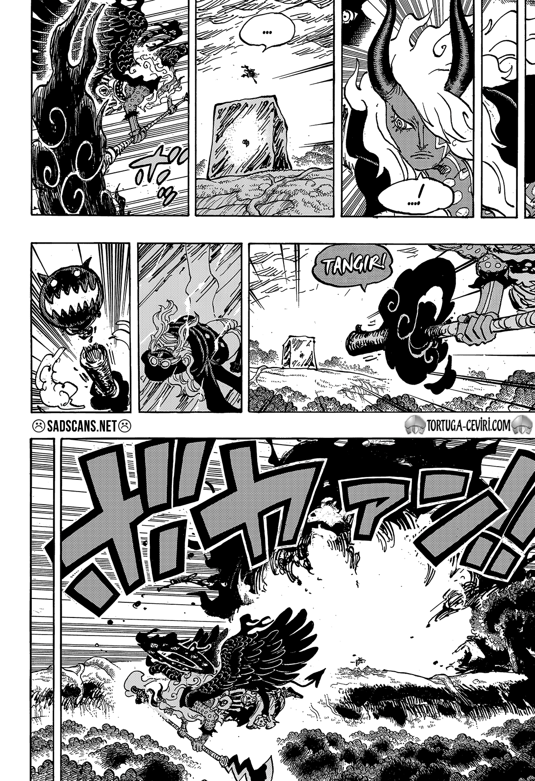 Read One Piece TR Manga Online