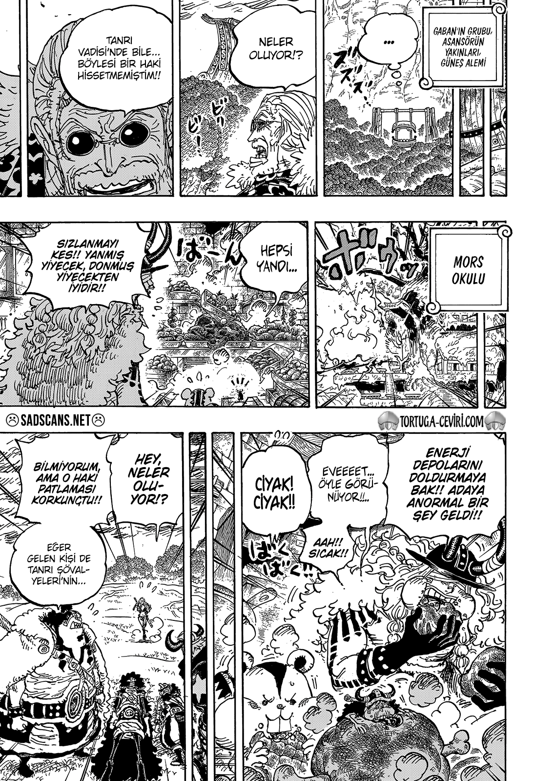 Read One Piece TR Manga Online