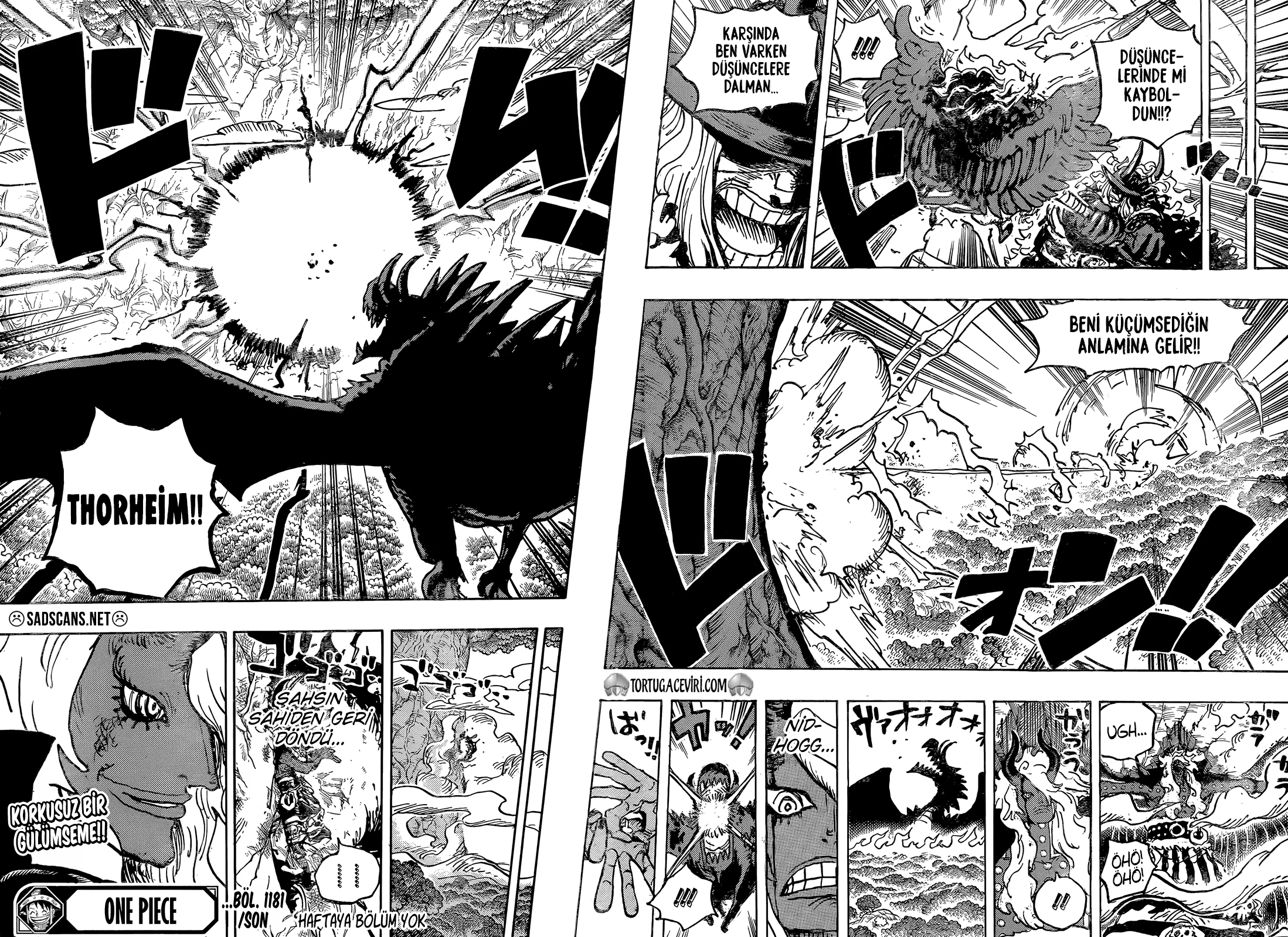 Read One Piece TR Manga Online