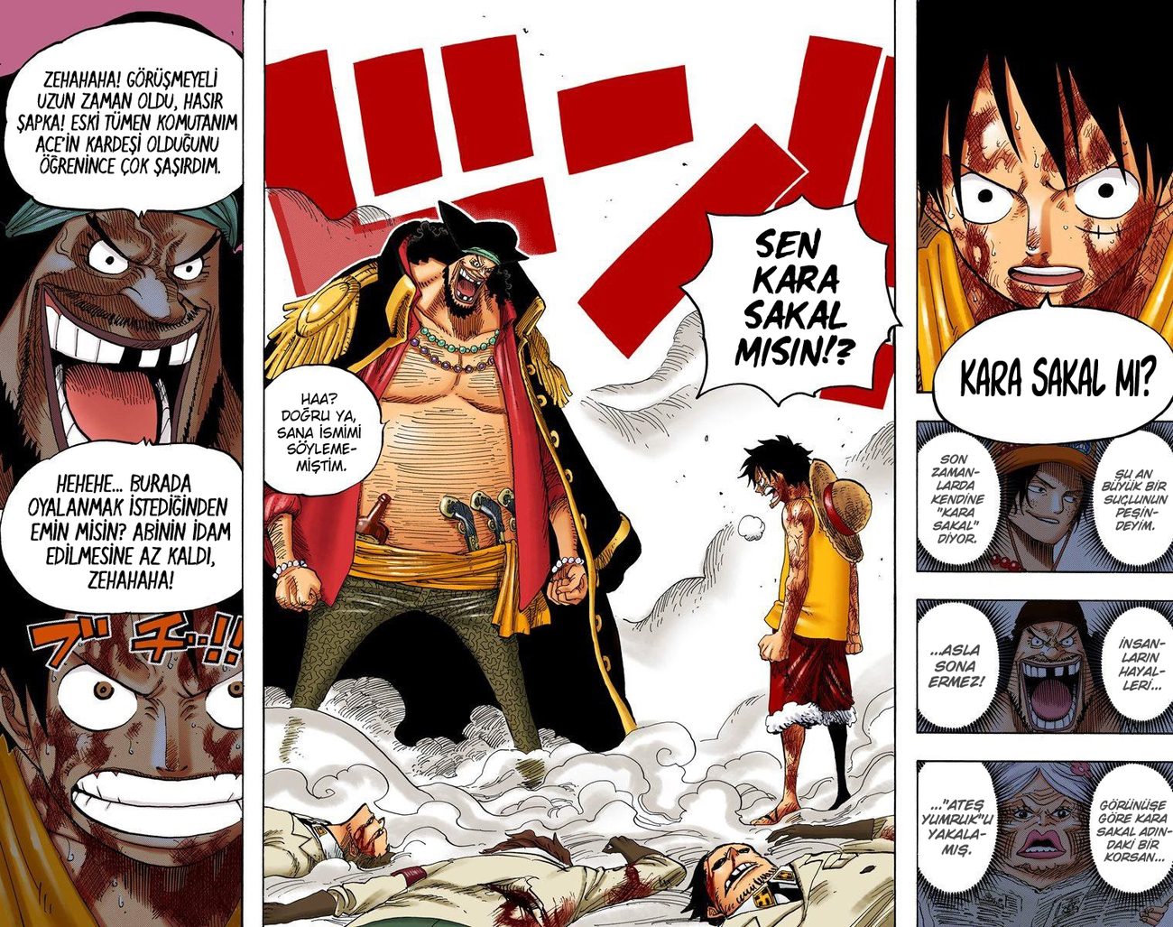 Read One Piece TR Manga Online